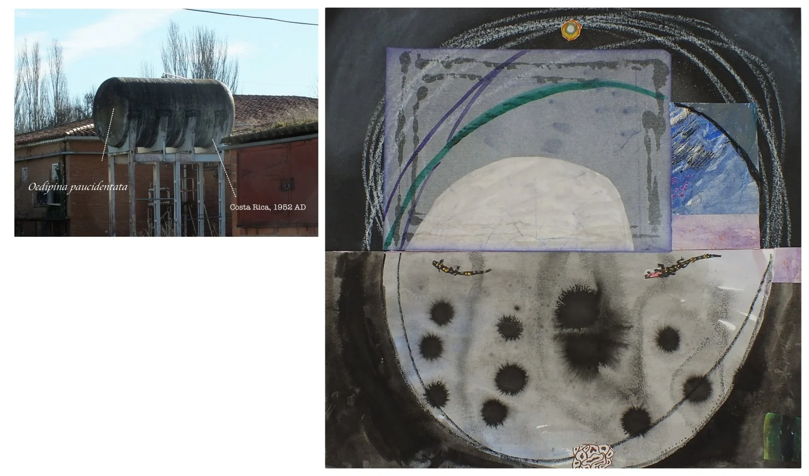 batch_collage 13.jpg