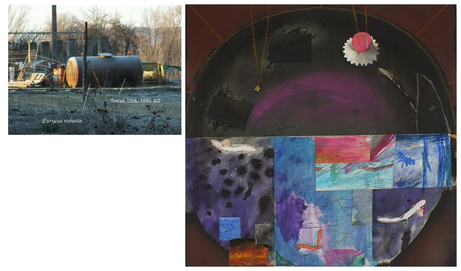 batch_collage 11.jpg