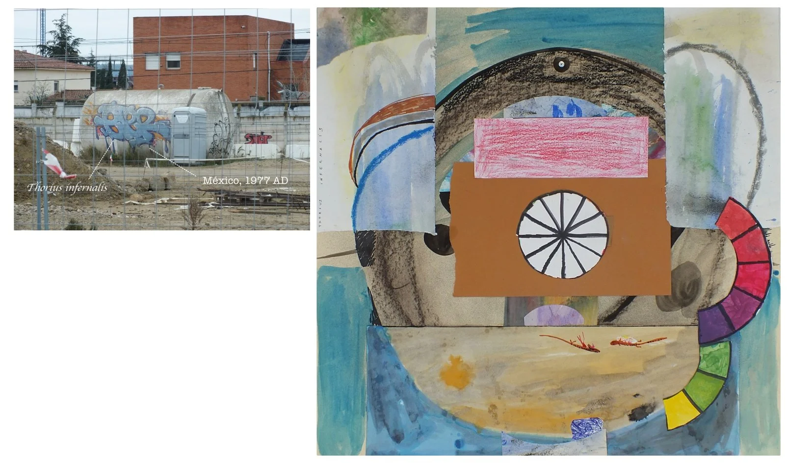 batch_collage 14.jpg