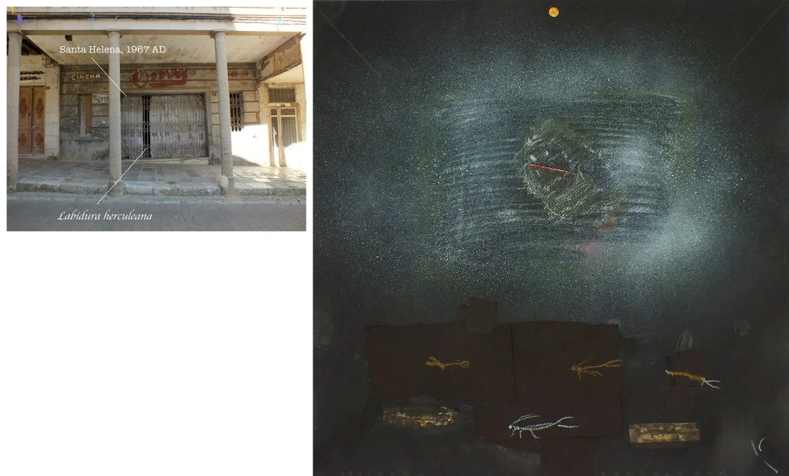 batch_Labidura herculeana-tile.jpg