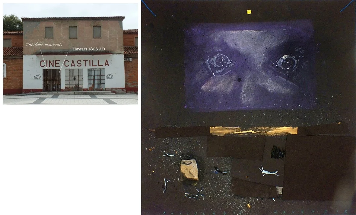 batch_Anisolabis mauiensis-tile.jpg