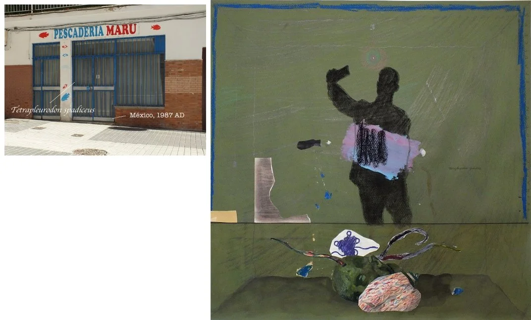 batch_Tetrapleurodon spadiceus-tile.jpg