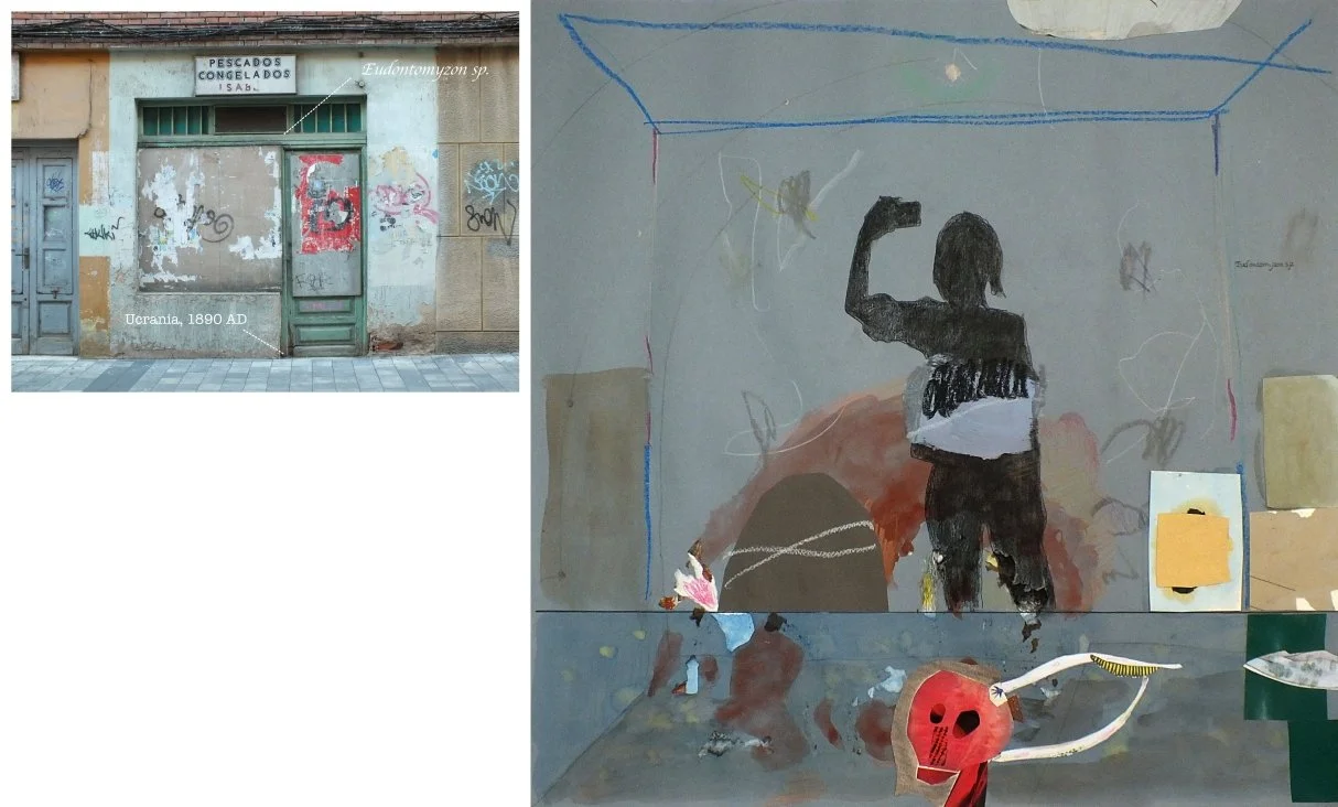 batch_Eudontomyzon sp.-tile.jpg