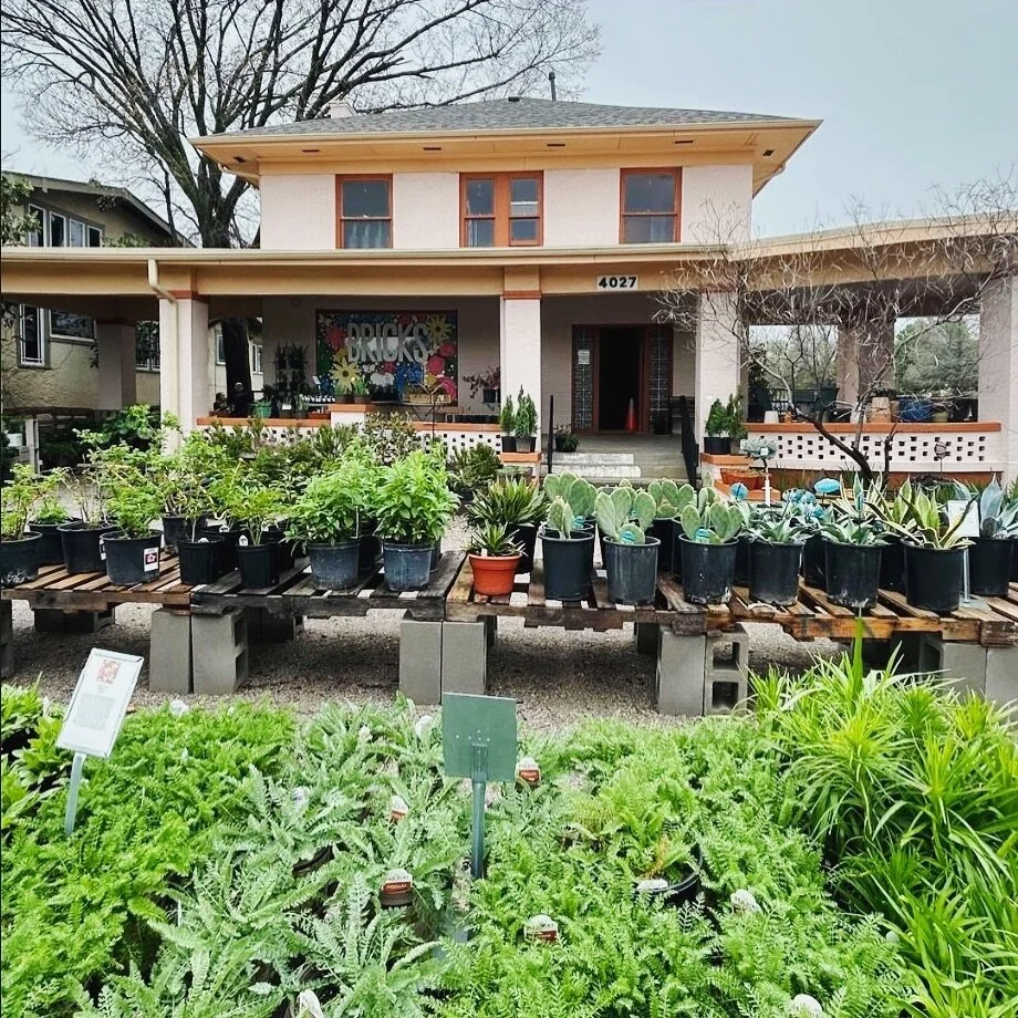 Local Spots We Love 🌱 If you&rsquo;re gardening this Spring, go visit our friends at @bricksgarden - they&rsquo;re open for the season! ☀️ It&rsquo;s our favorite local spot for all things outdoor! #ShopLocalOKC #OKCSmallBusiness

📸: @bricksgarden 