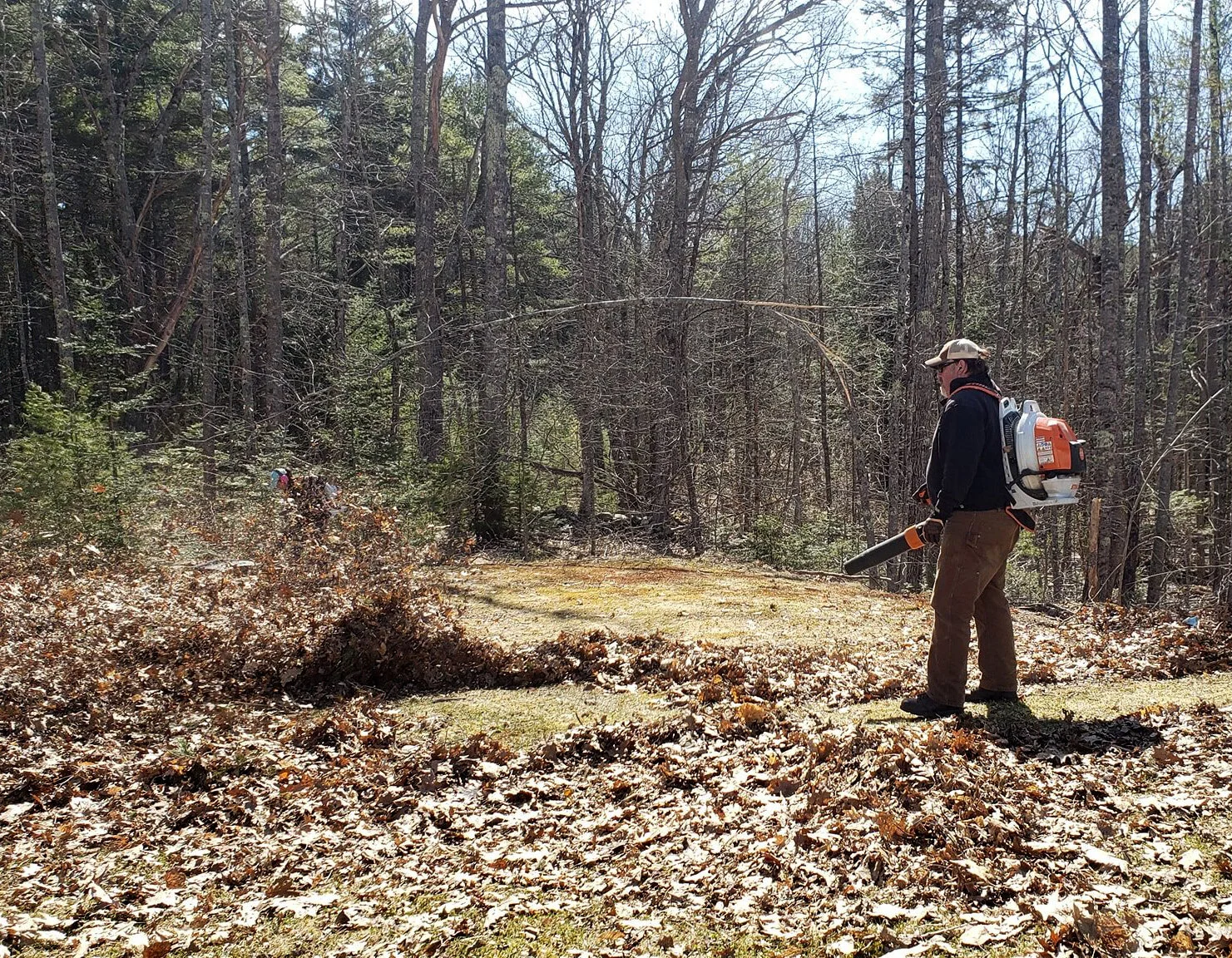 GARDEN & LANDSCAOE — BANTAM PROPERTY MANAGEMENT