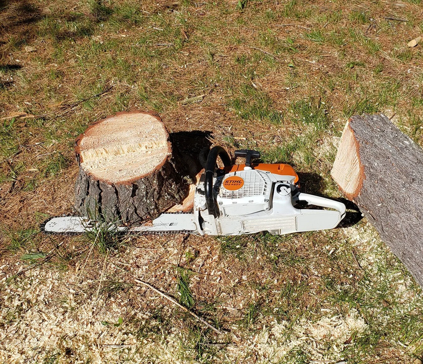 TREE SERVICE — BANTAM PROPERTY MANAGEMENT