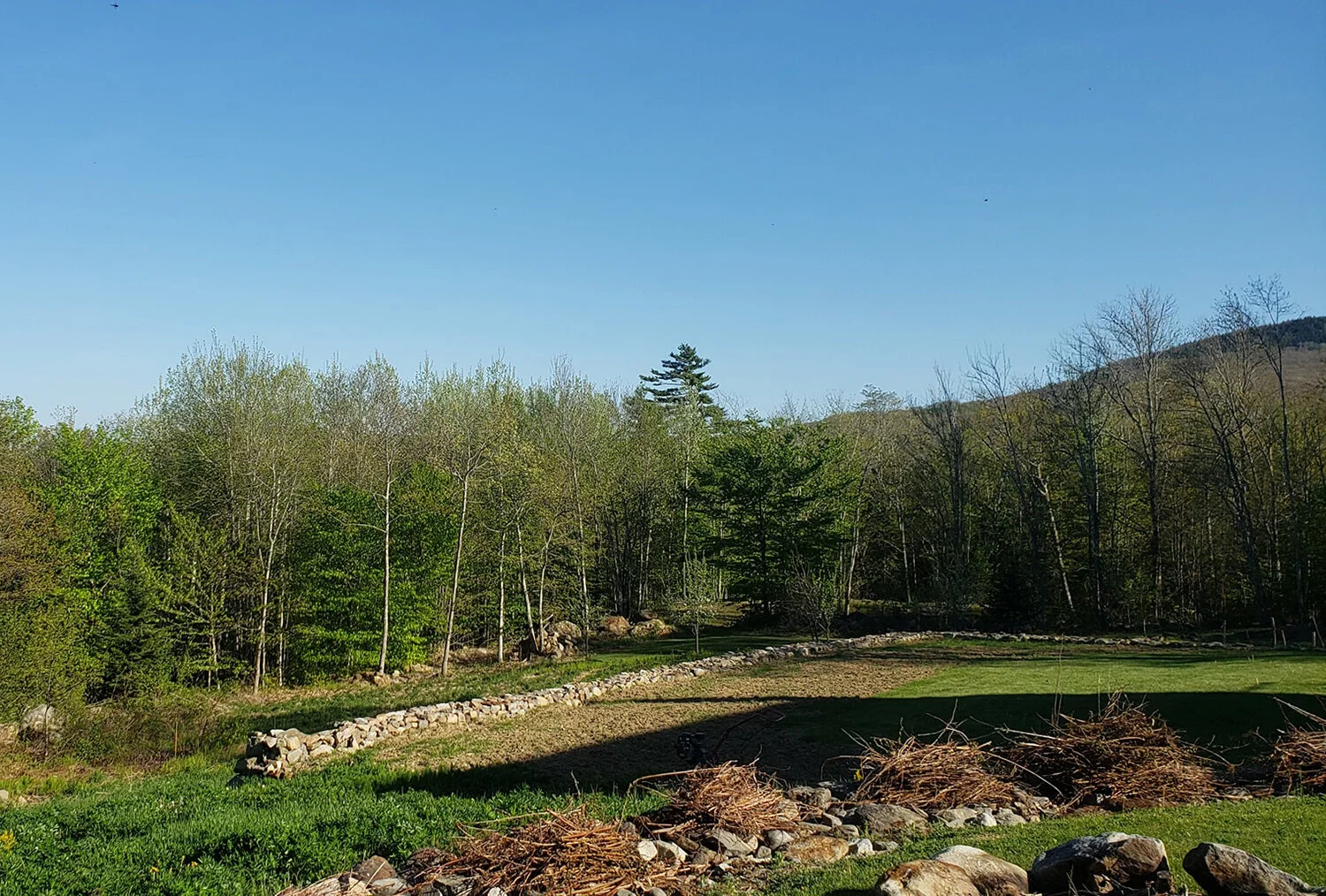 GARDEN & LANDSCAOE — BANTAM PROPERTY MANAGEMENT