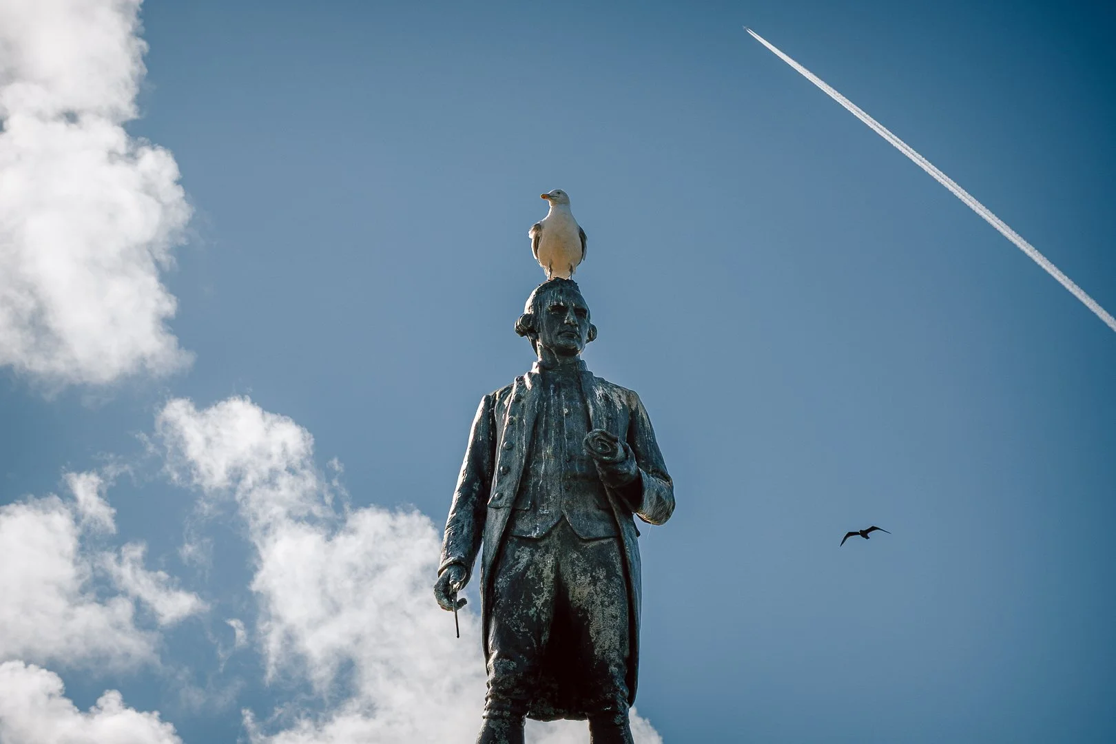 Captain Cook Memorial Statue with a perched seagull and jet stream