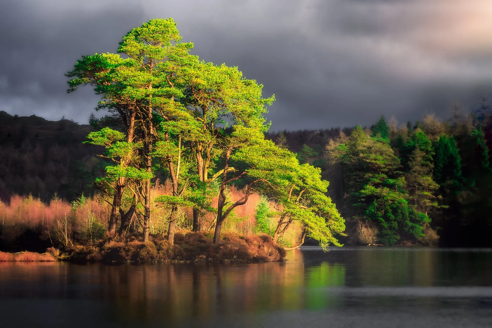 7G3A2797-Edit-Edit-Edit-2-Edit.jpg