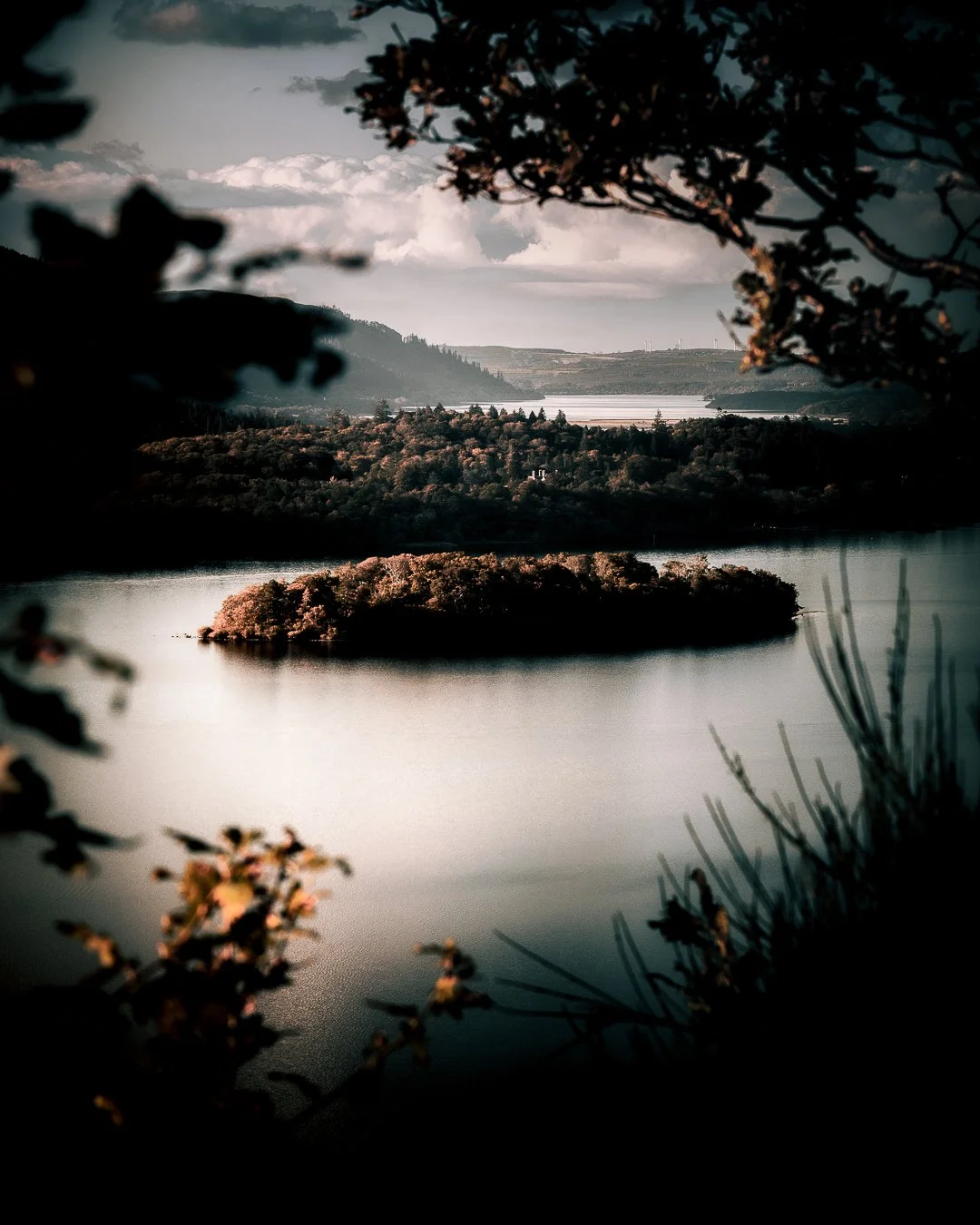 FULL RES NO WM MATTE PRINT-5-Edit.jpg