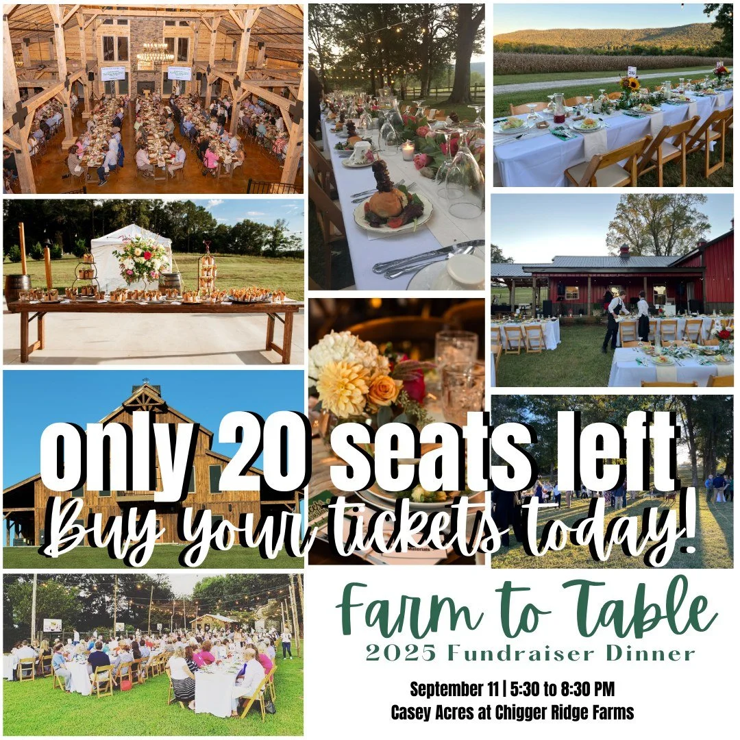 We are exactly 4 weeks out from our annual Farm to Table Fundraiser Dinner and there are only 20 seats left! Buy your tickets TODAY so you don't miss out celebrating 10 years as a 501(c)(3) with us. www.gracesofgurley.org/farmtotable