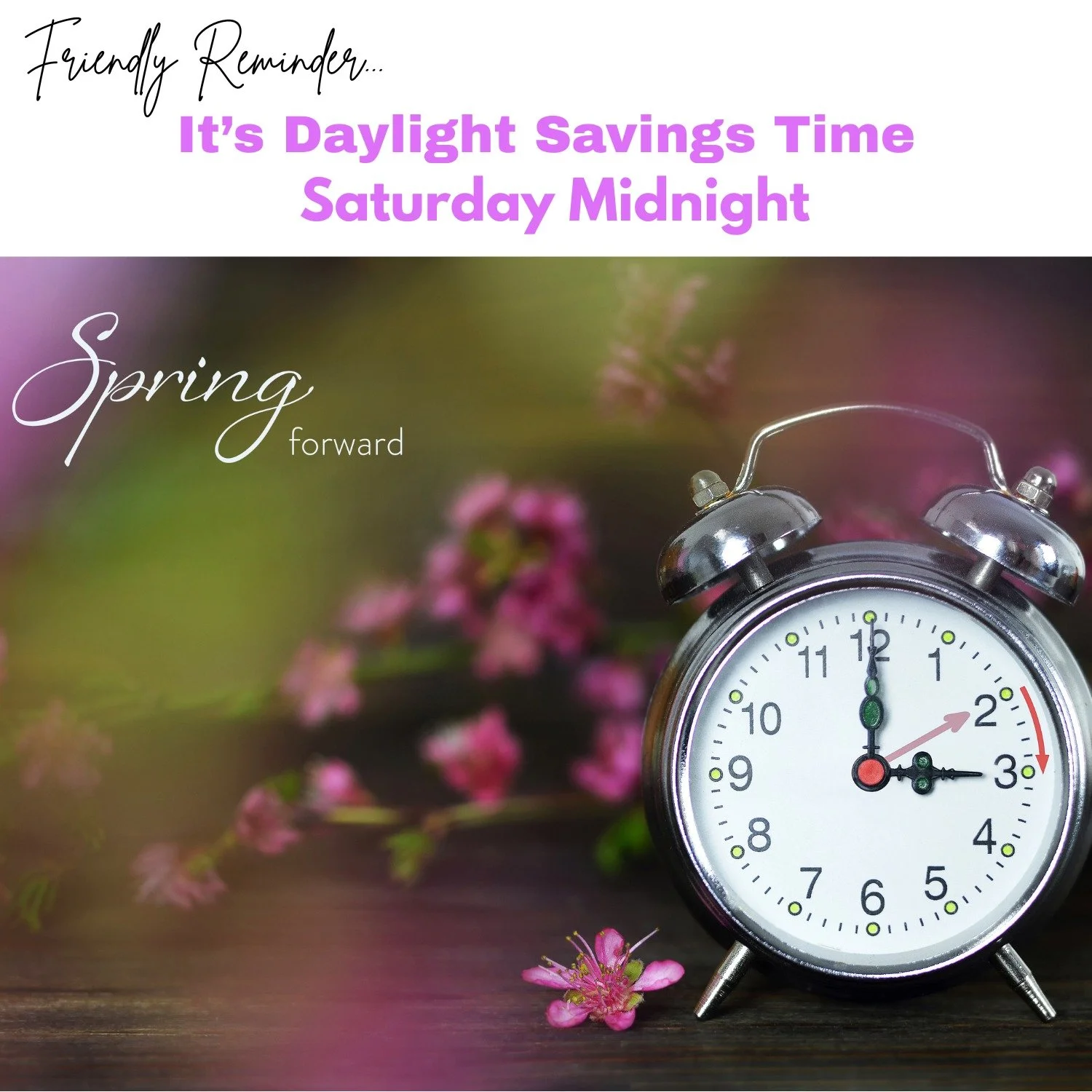 Don't forget to move your clocks on 1 hour or you'll be late to church! We may lose an hour but we gain more sunshine in the evenings!