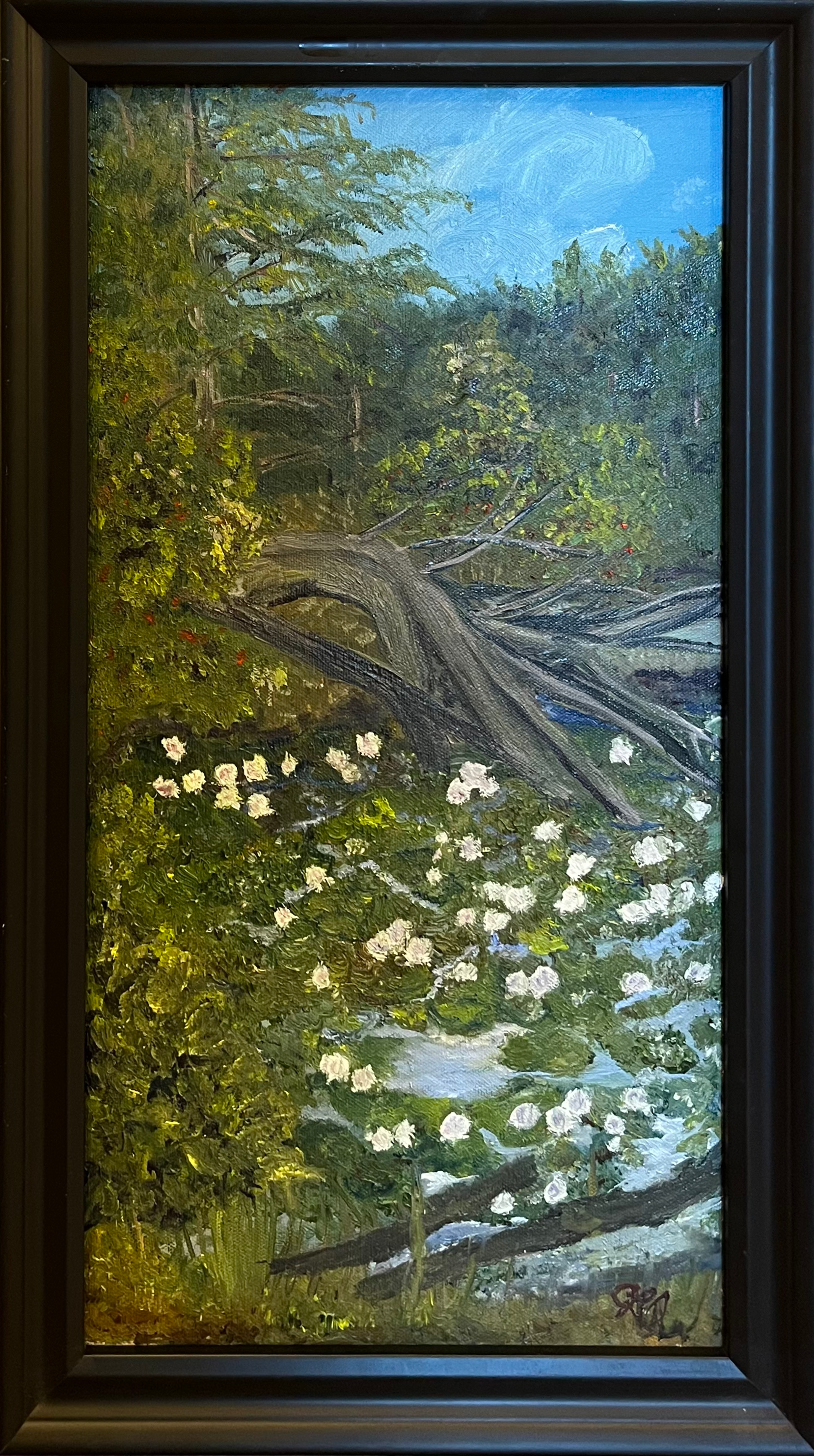 Cindy Quales Reflection at the edge of the pond oil on canvas 10x20.png
