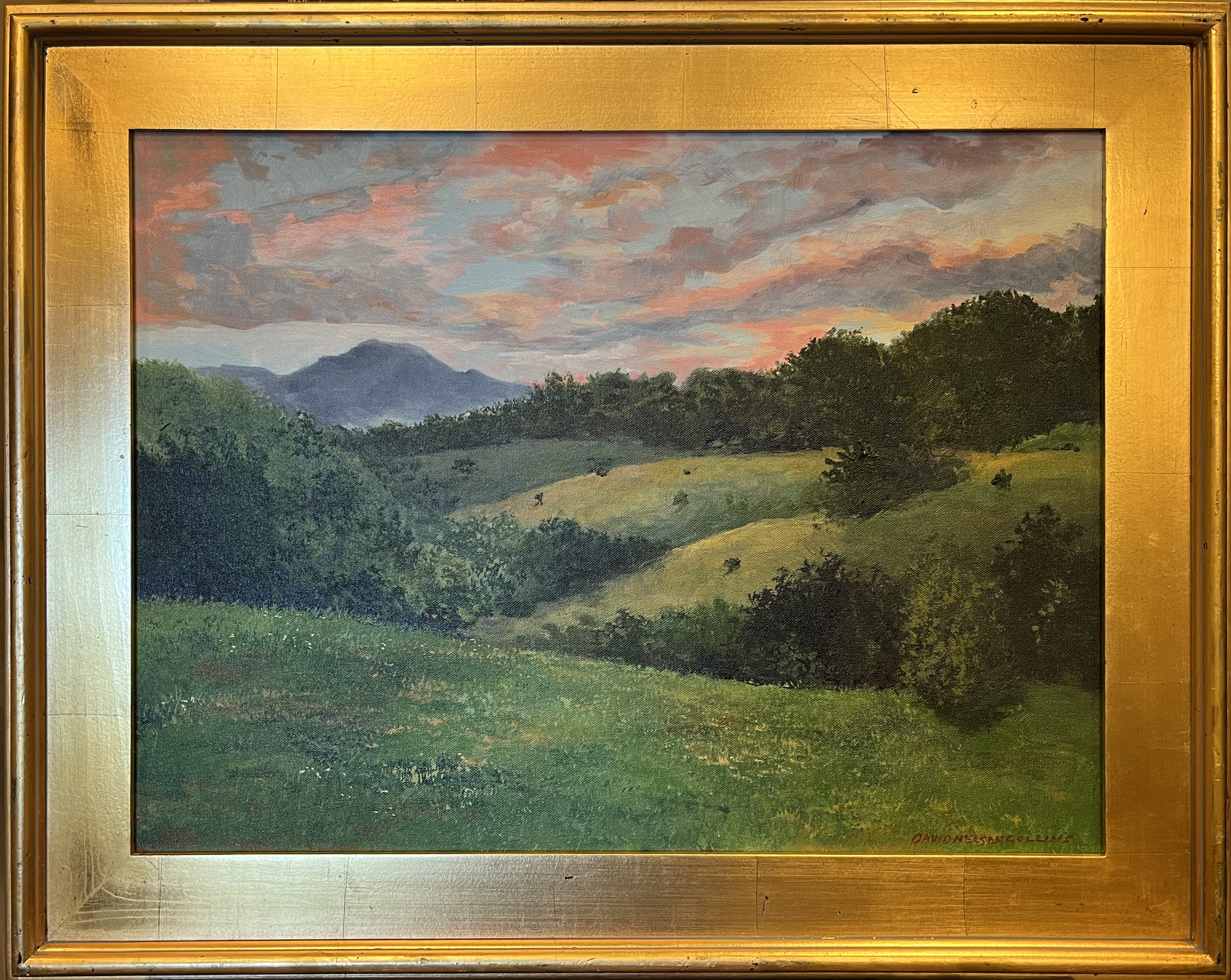 David Nelson Collins sunset at moses cone pasture open acrylic.png