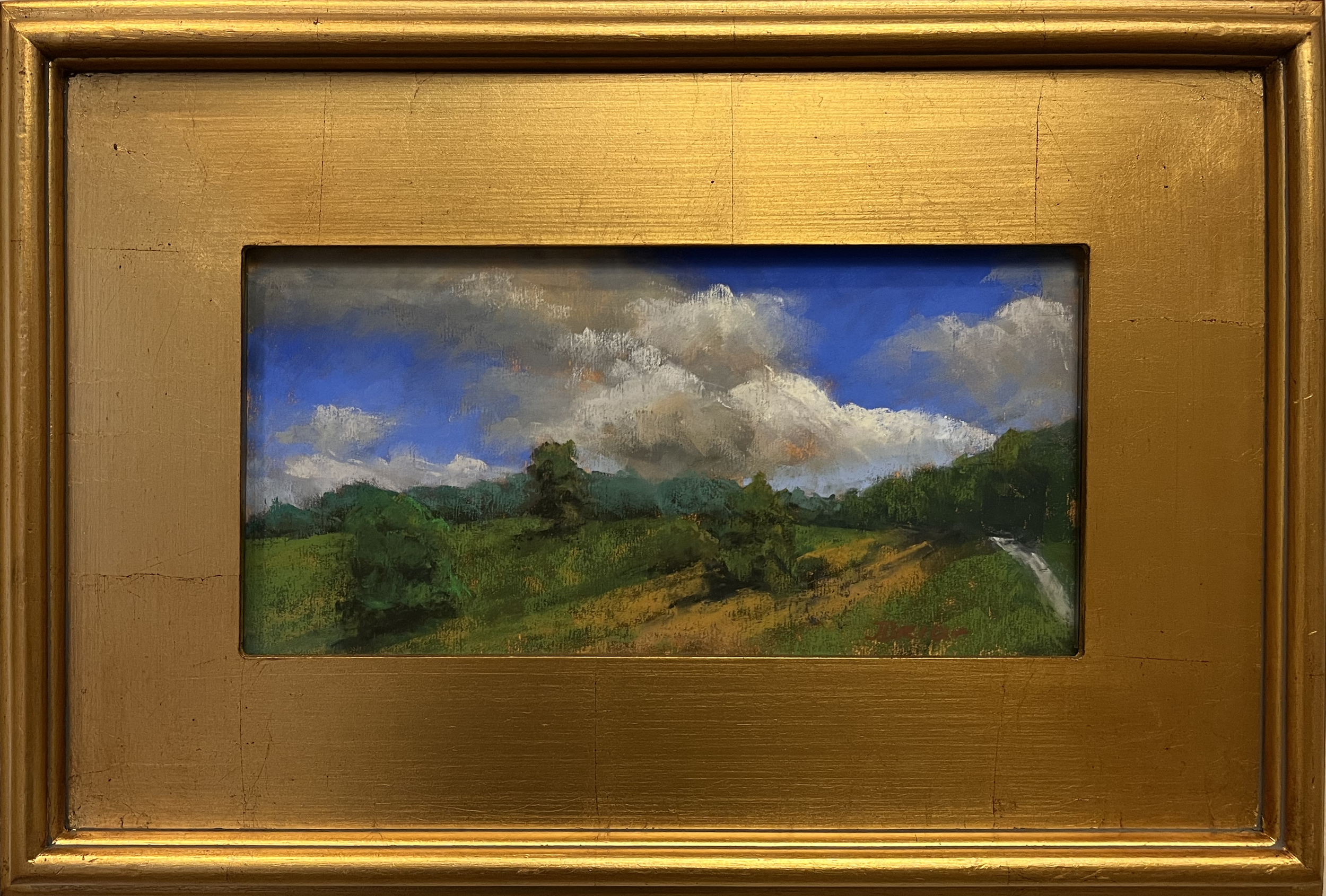 Joan Dreicer view from blue ridge parkway pastel.png