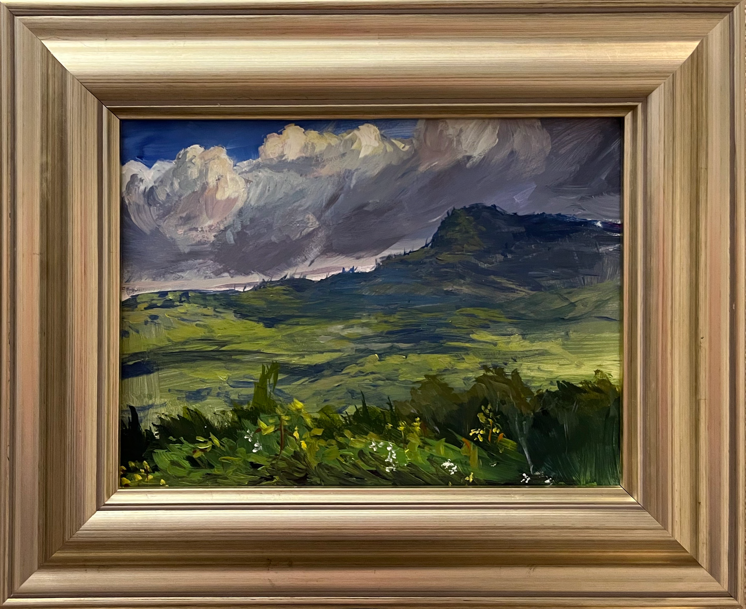 Laure Oleniacz View of GrabndfathER MOUNTAIN acrylic.png