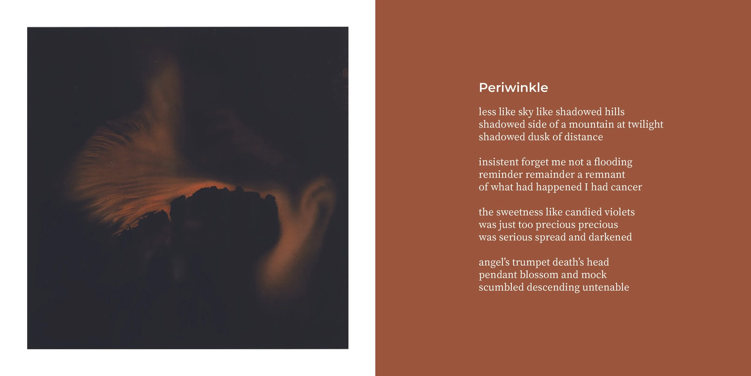 ARS POETICA III Reception