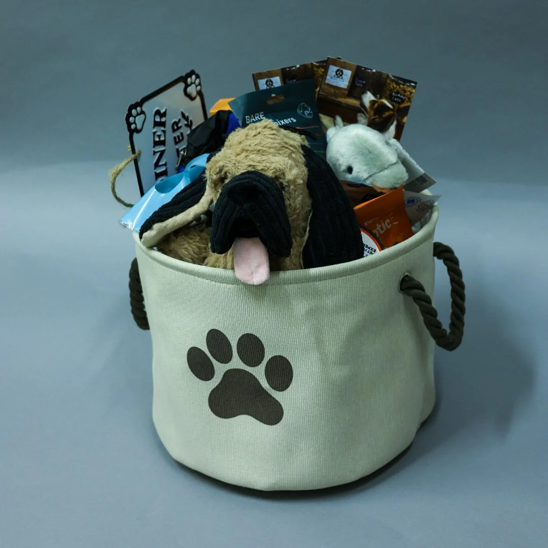Assorted Dog Toys