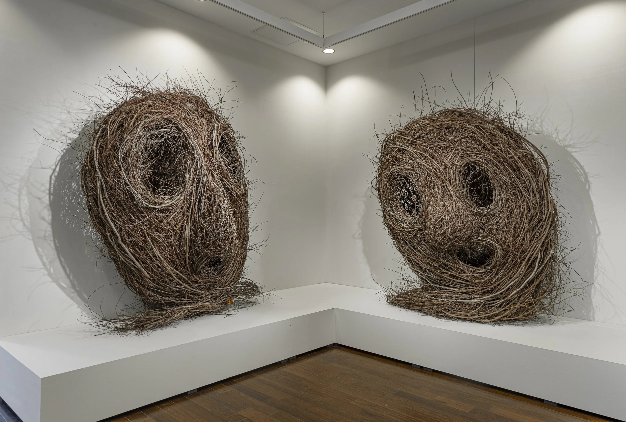 Patrick Dougherty: Pilgrimage