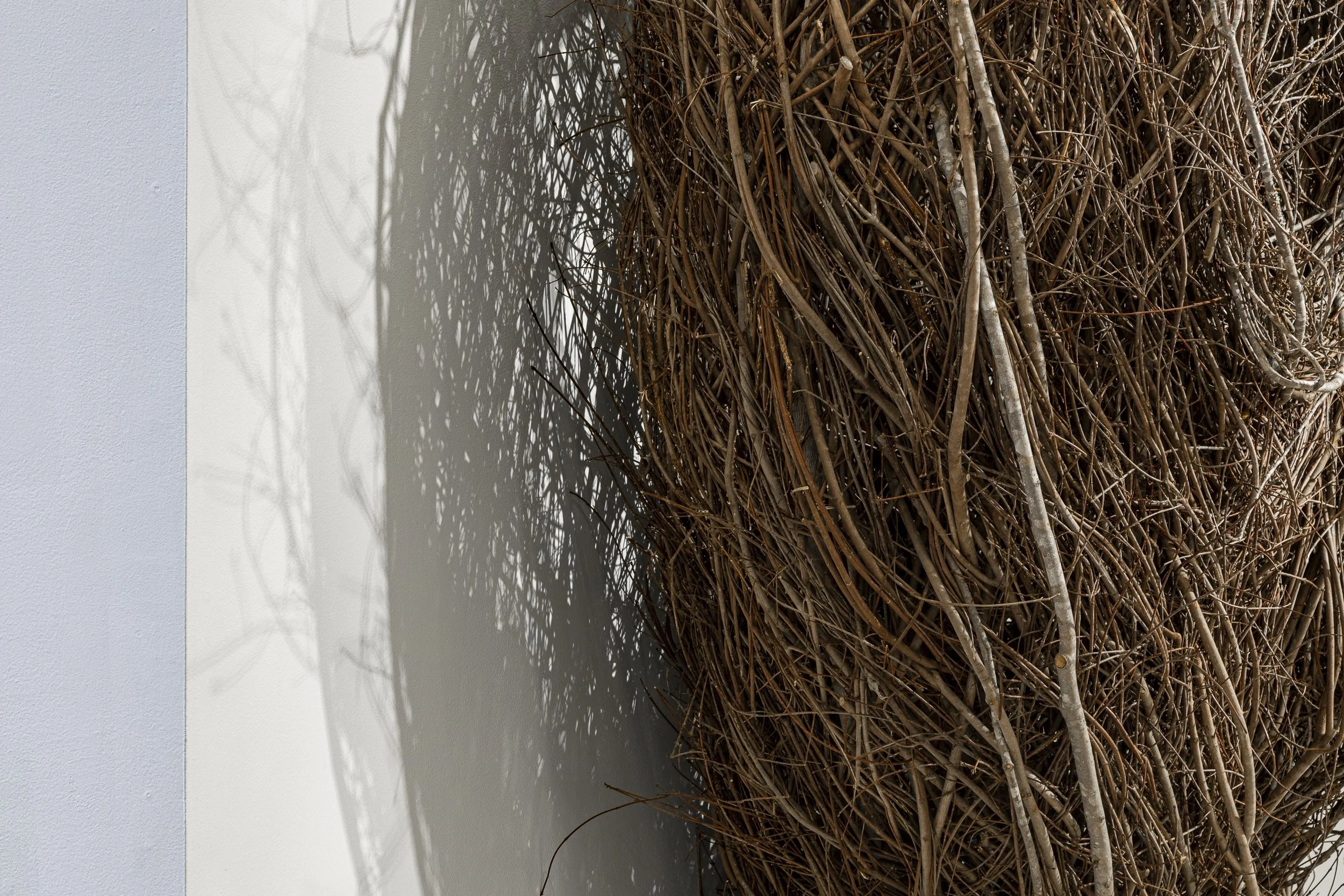  Installation View,  Patrick Dougherty: Pilgrimage  (November 15 - May 17, 2026),   Blowing Rock Art &amp; History Museum. Photo: Josh White 