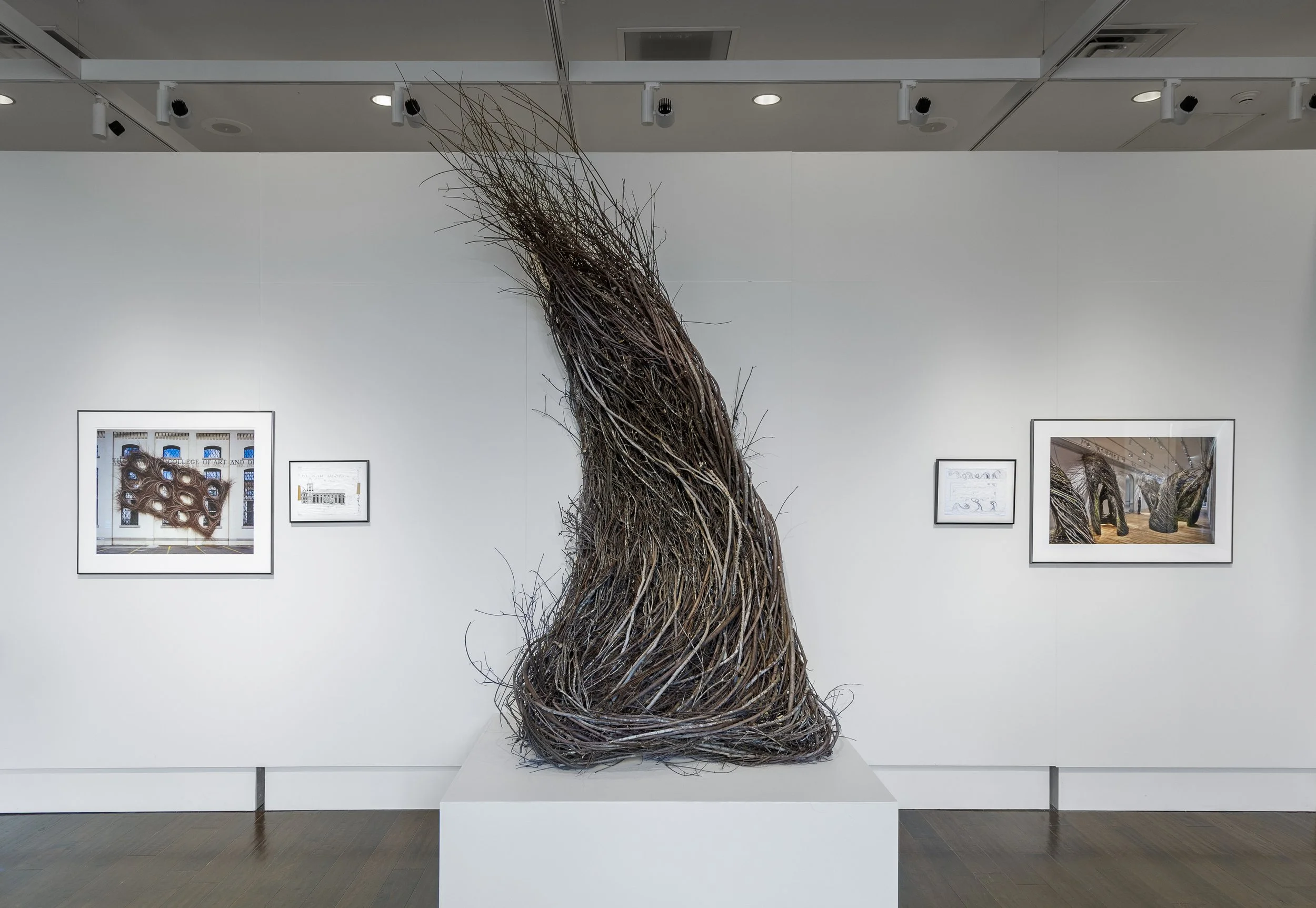 Patrick Dougherty Makes A Pilgrimage to Appalachian State