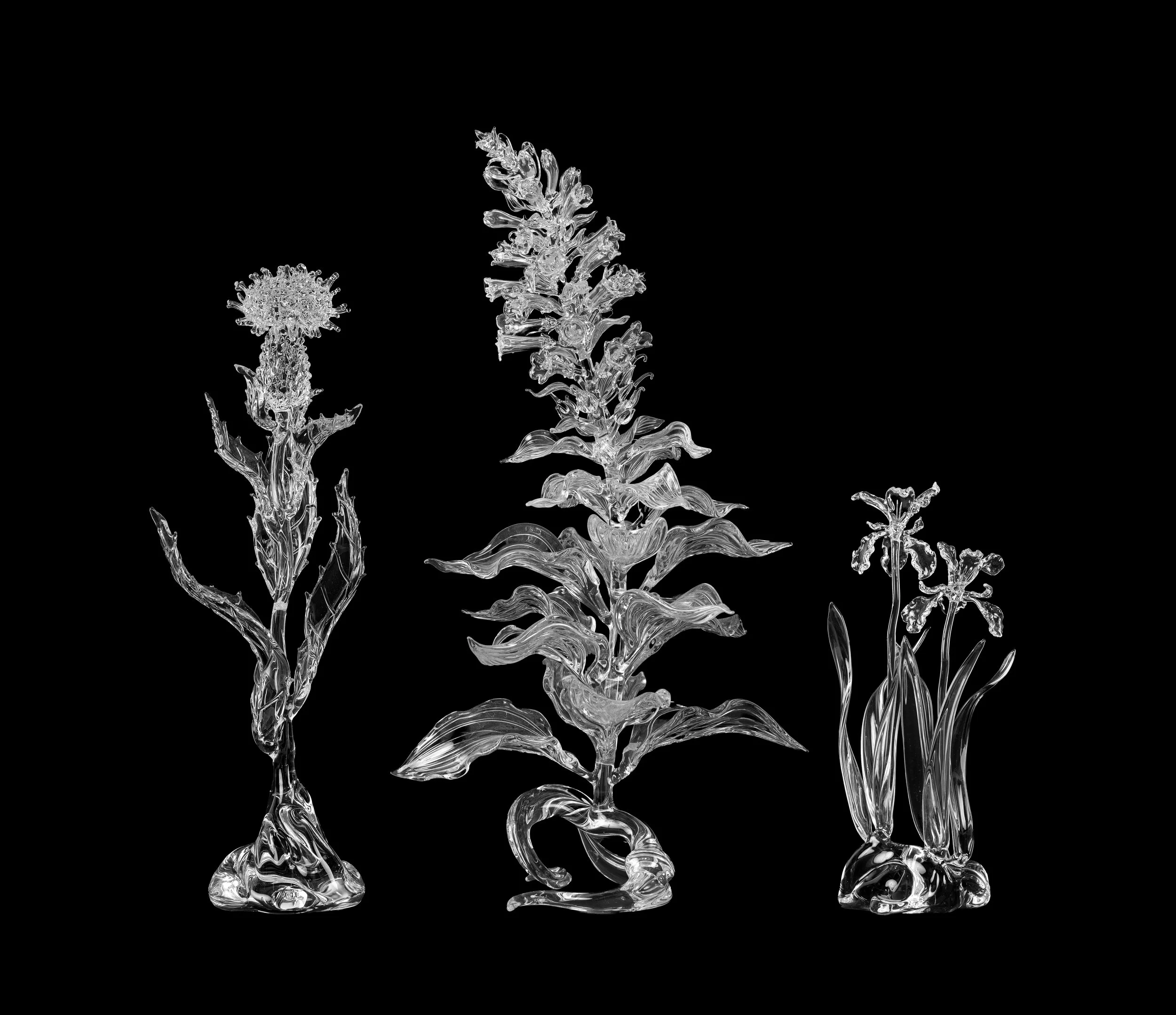 Springtide: BRAHM’s Permanent Collection in Bloom