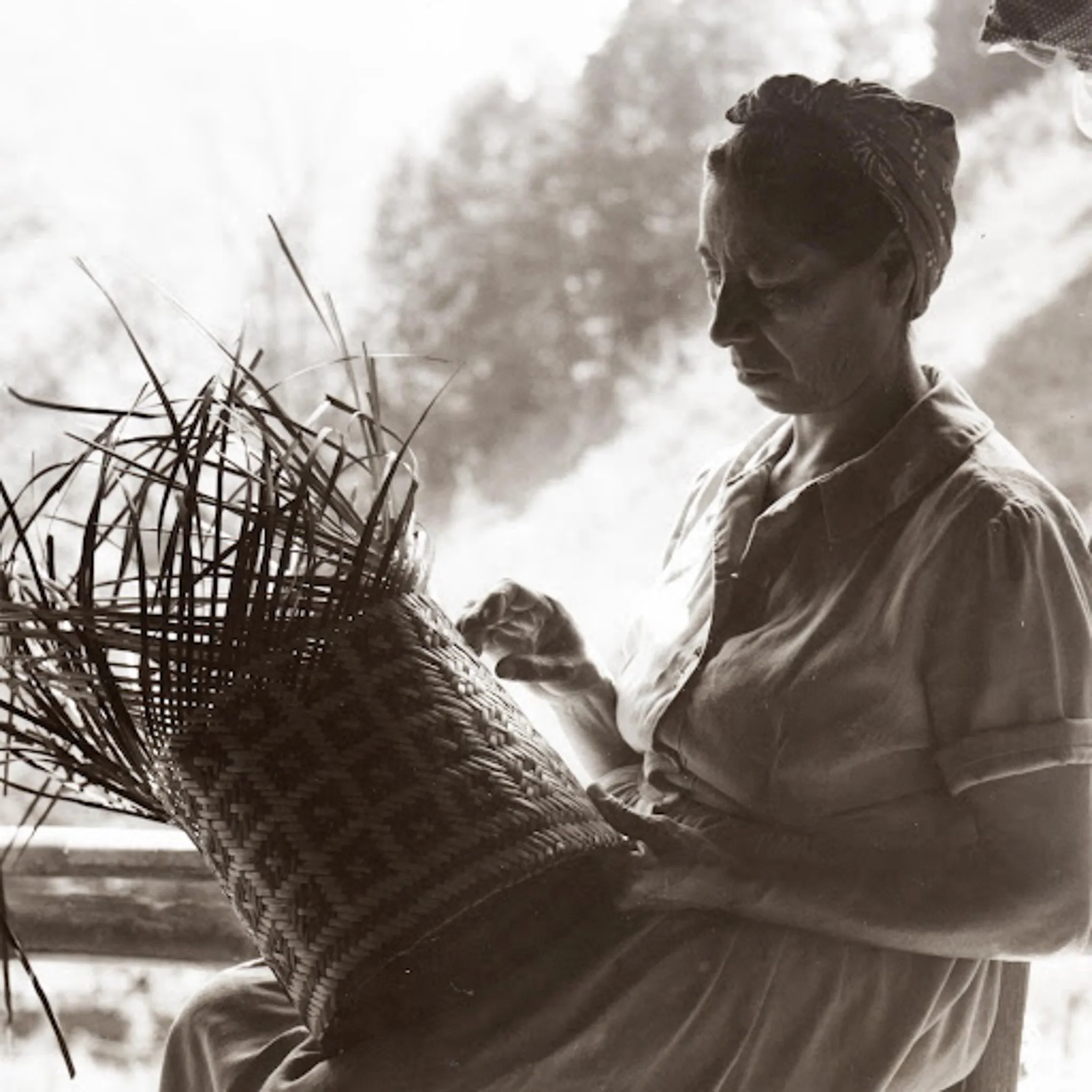 ᏔᎷᏥ ᏕᎬᏍᎬ ᎣᎩᎲᎢ Weaving our Heritage: Cherokee Baskets