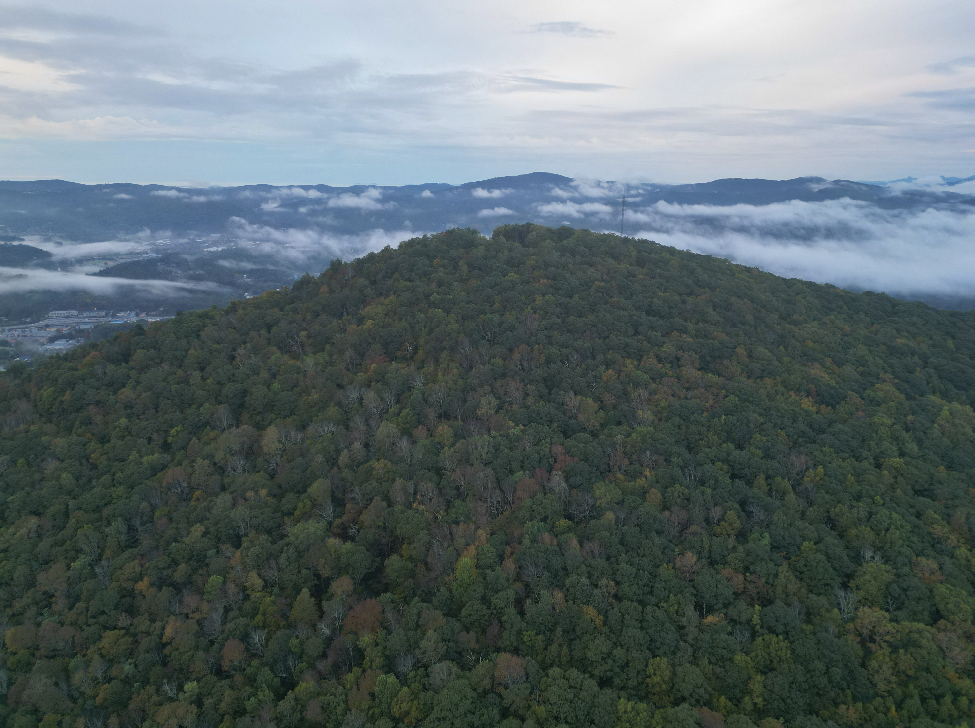 Protecting Our Horizon Lines with the Blue Ridge Conservancy
