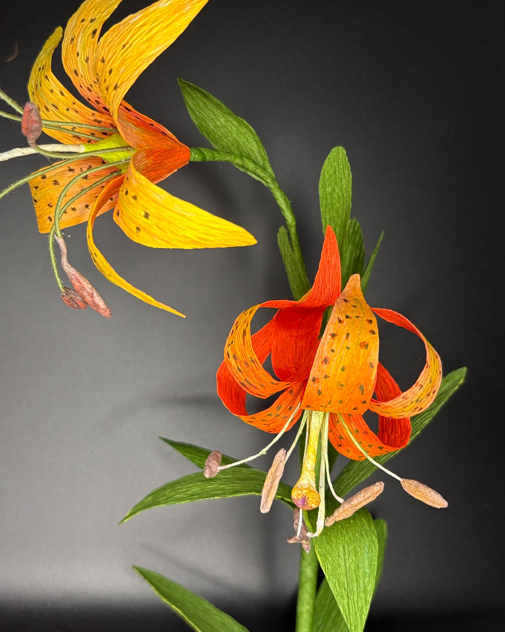 Botanical Paper Carolina Lily Workshop