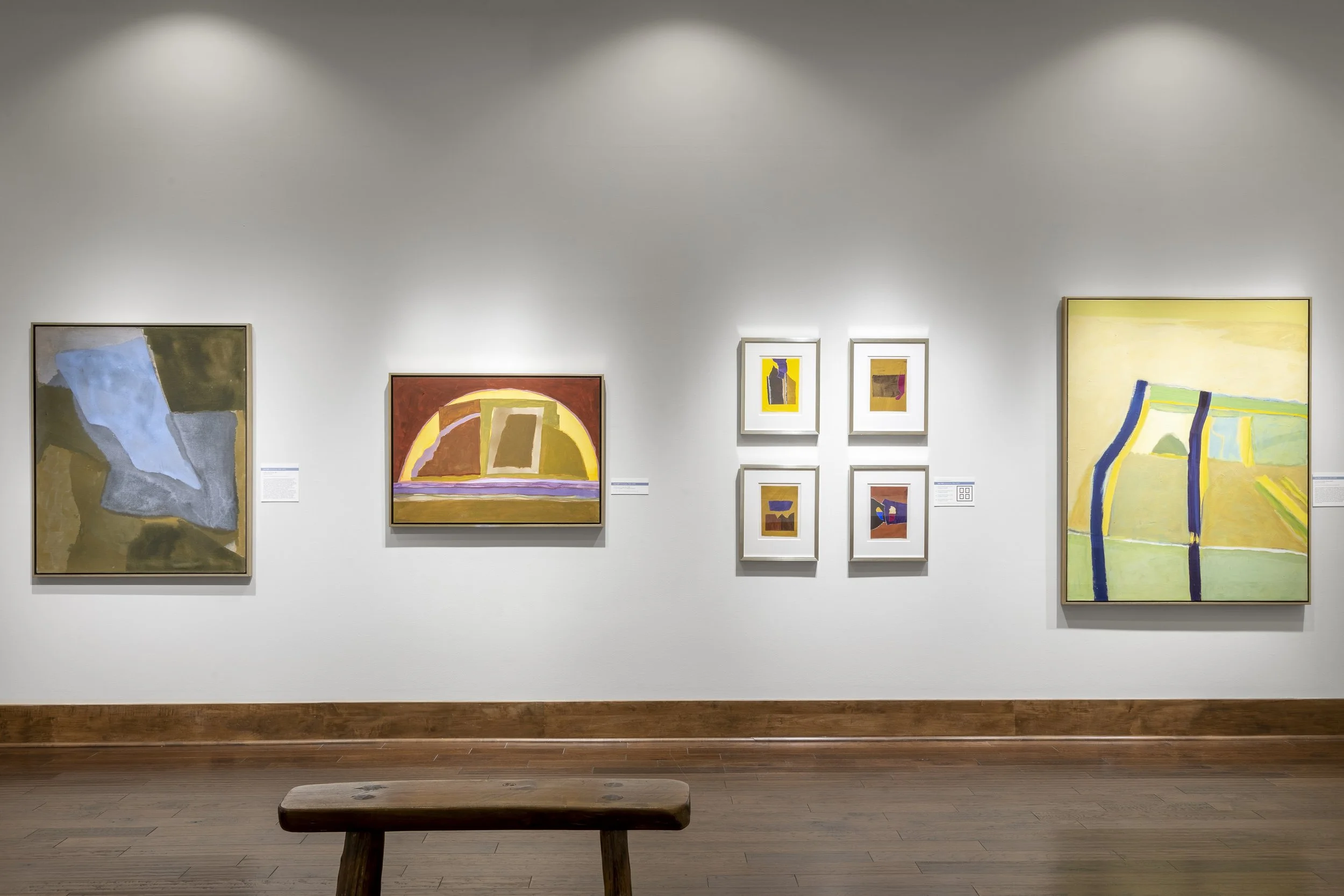  Installation View,  Lee Hall: Immediate Landscapes  (November 21 - May 5, 2024), Blowing Rock Art &amp; History Museum. Photo: Josh White 