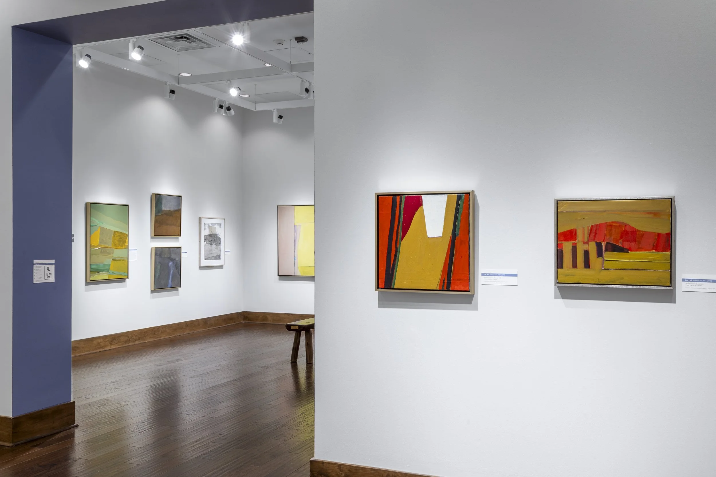  Installation View,  Lee Hall: Immediate Landscapes  (November 21 - May 5, 2024), Blowing Rock Art &amp; History Museum. Photo: Josh White 