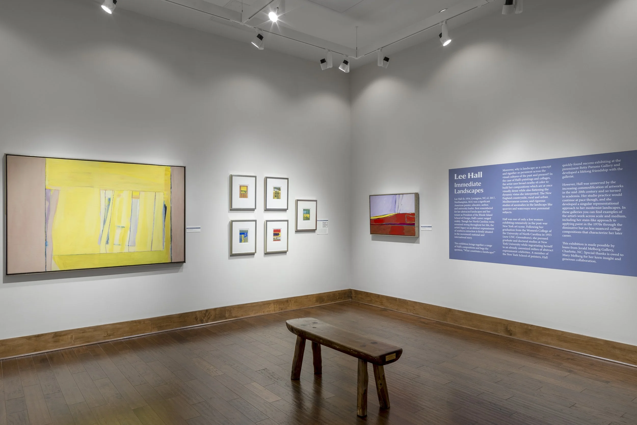  Installation View,  Lee Hall: Immediate Landscapes  (November 21 - May 5, 2024), Blowing Rock Art &amp; History Museum. Photo: Josh White 