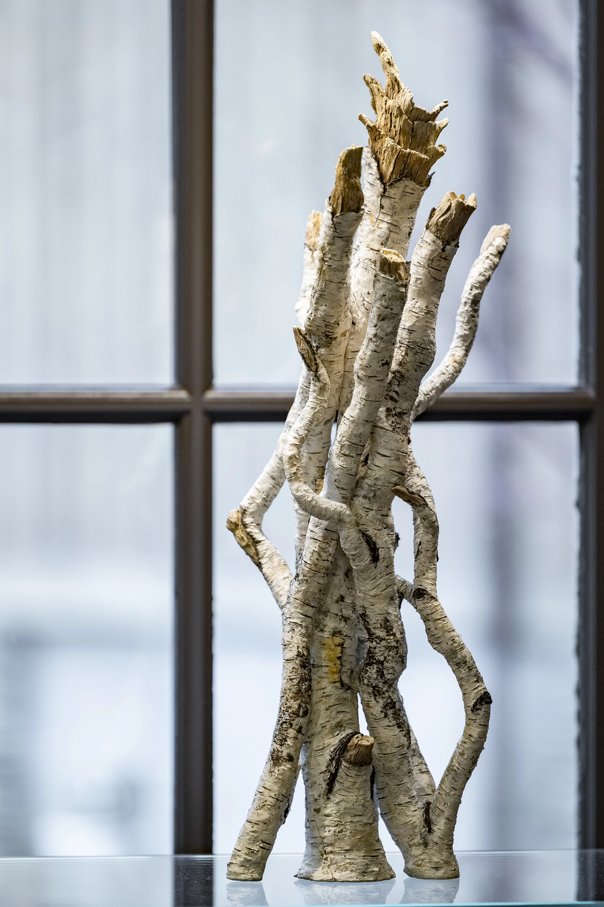  Installation View,  Eric Serritella: Abscission  (December 13 - June 21, 2026), Blowing Rock Art &amp; History Museum. Photo: Josh White 