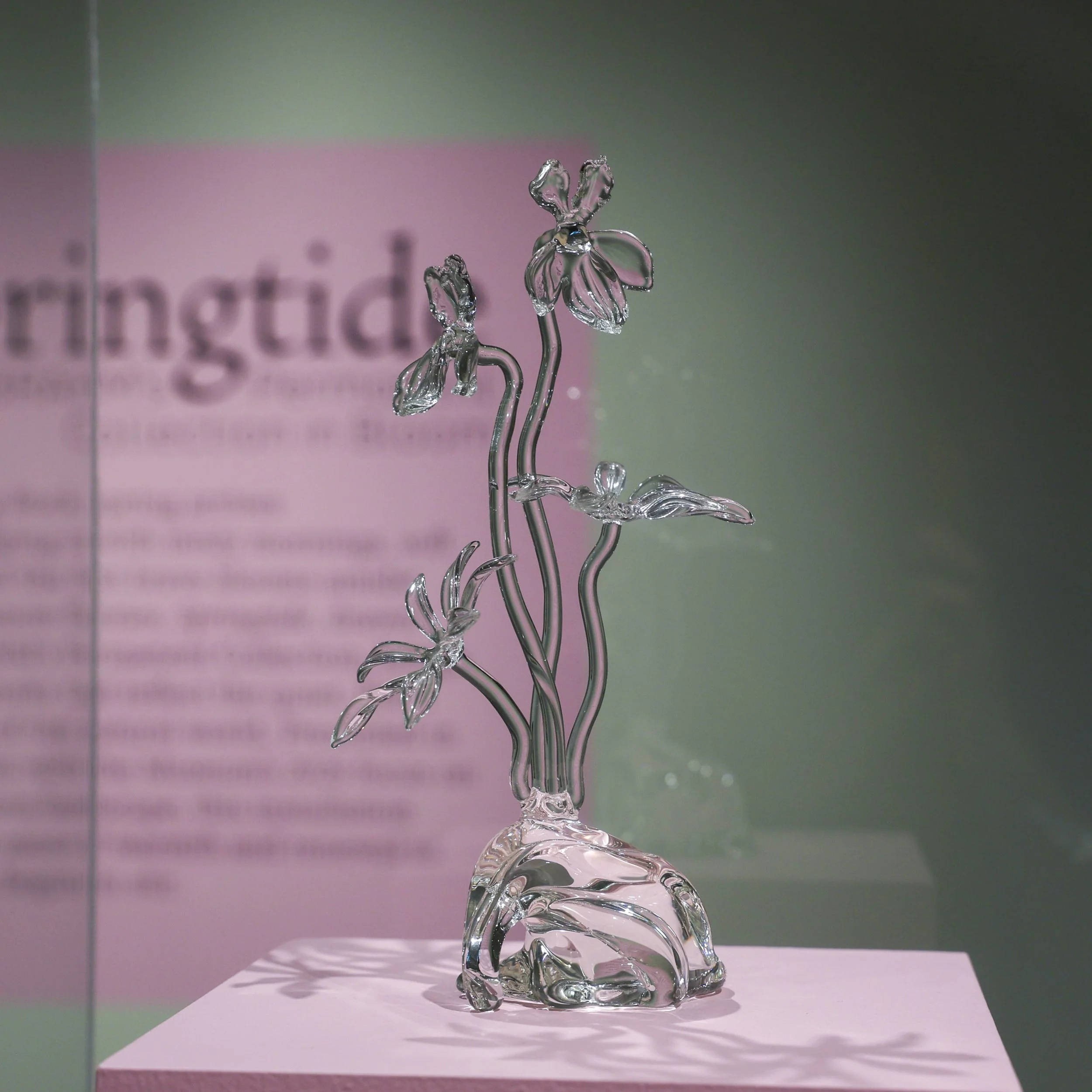  Installation View,  Springtide: BRAHM’s Permanent Collection in Bloom   (March 28 - May 24, 2026), Blowing Rock Art &amp; History Museum. Photo: Josh White 