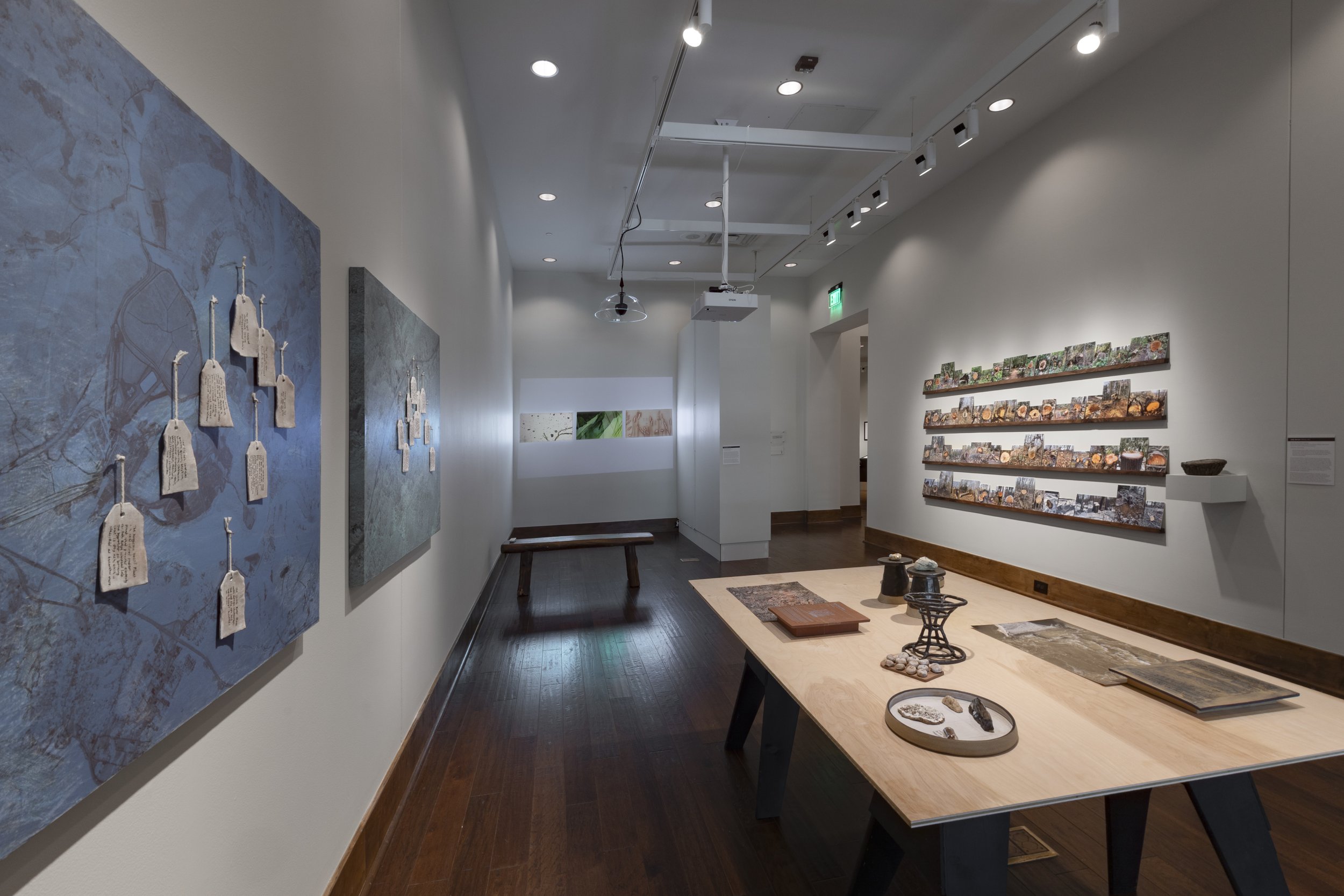 Installation View,  Field Studies: Ways of Knowing Place in Southern Appalachia  (June 13 - January 9, 2027), Blowing Rock Art &amp; History Museum. Photo: Josh White 
