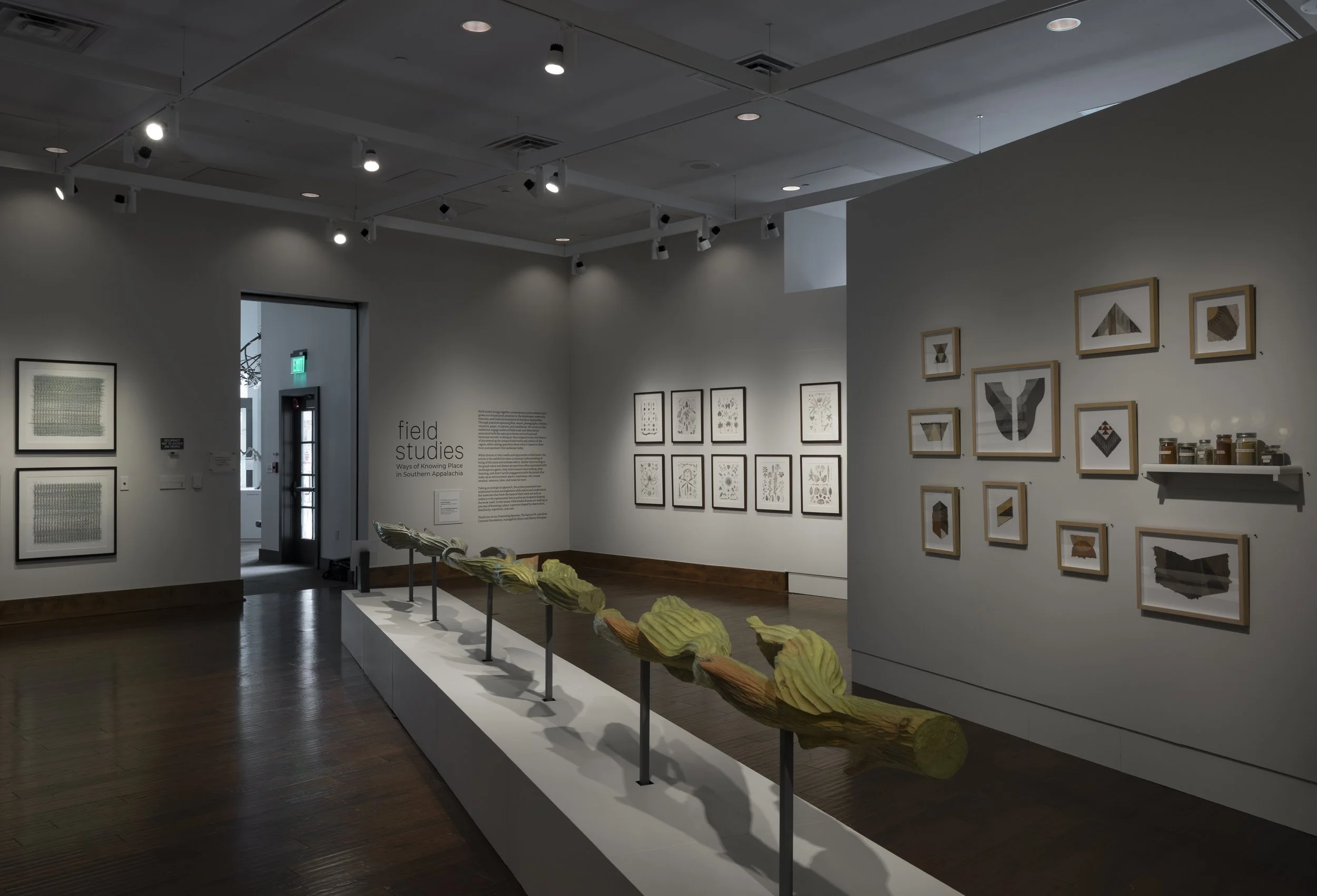 Installation View,  Field Studies: Ways of Knowing Place in Southern Appalachia  (June 13 - January 9, 2027), Blowing Rock Art &amp; History Museum. Photo: Josh White 