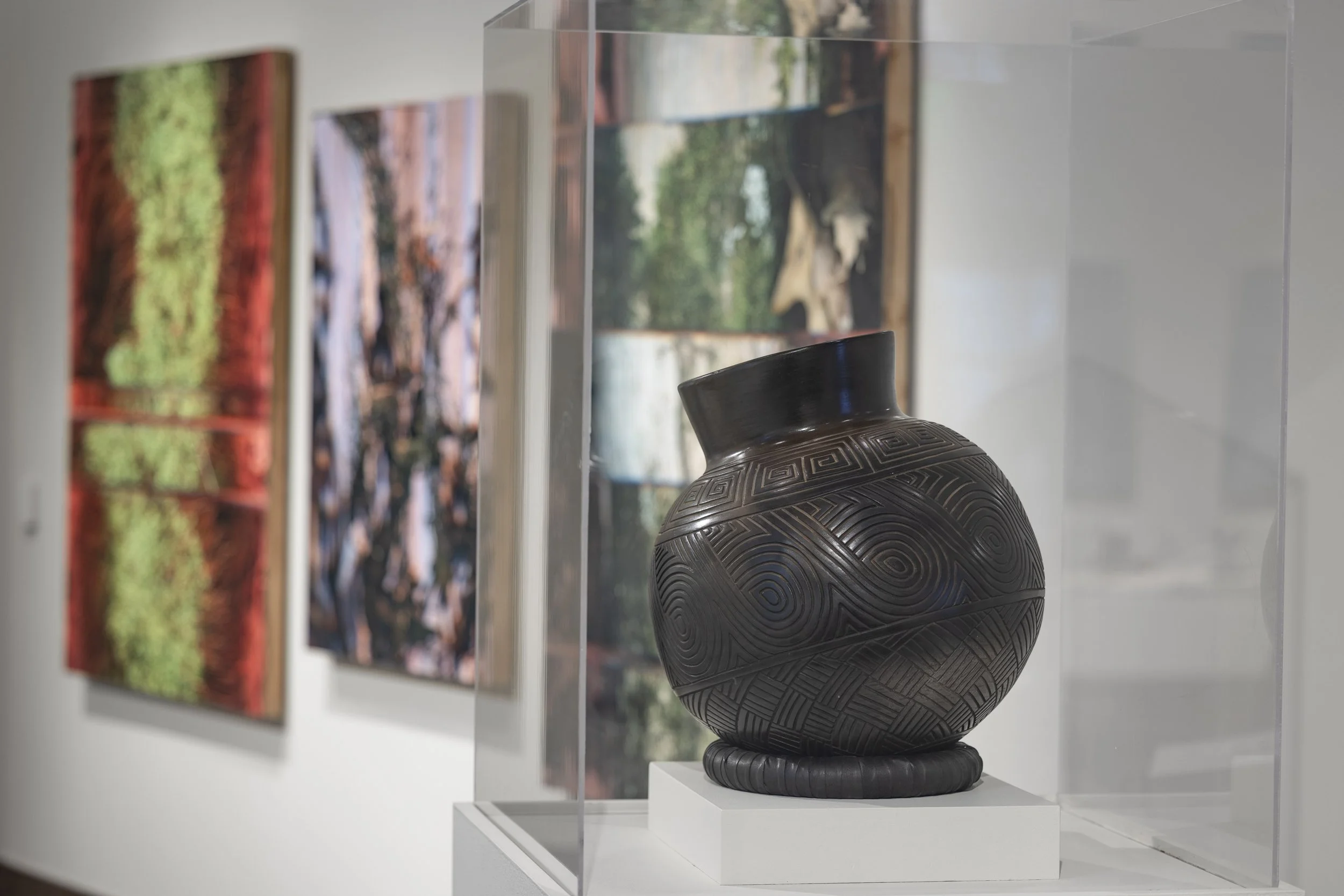  Installation View,  Field Studies: Ways of Knowing Place in Southern Appalachia  (June 13 - January 9, 2027), Blowing Rock Art &amp; History Museum. Photo: Josh White 