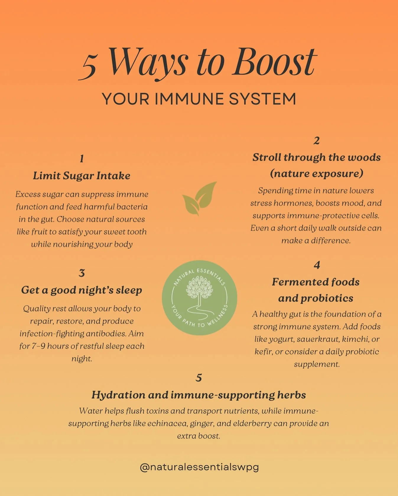 ✨ Strengthen your body&rsquo;s natural defenses this season ✨
Your immune system thrives when you give it simple, consistent care. Through nourishing food, mindful movement, restful sleep, and moments of calm in nature 🌿

Try these gentle ways to su