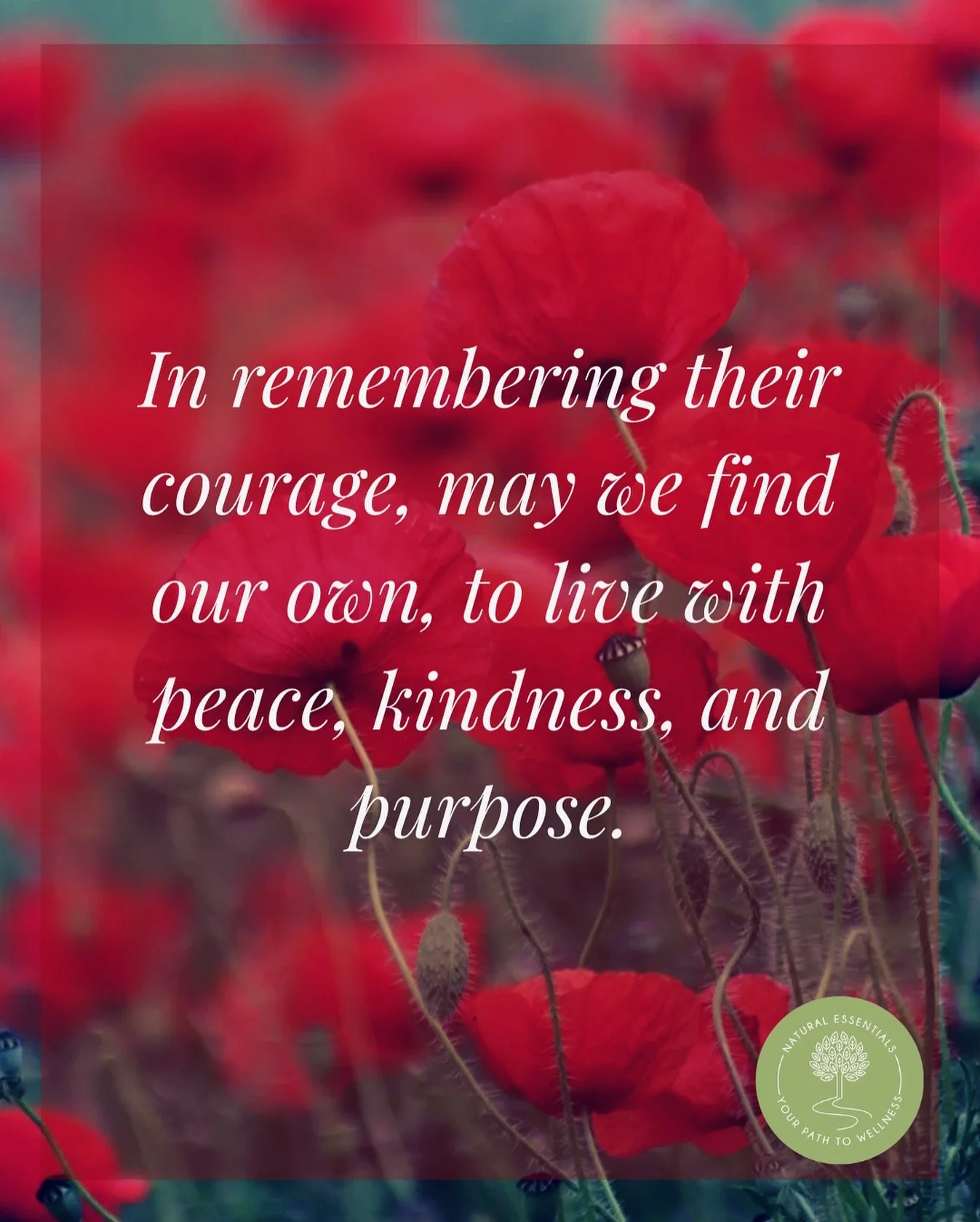 🕊️ Today we are remembering with gratitude and reflecting on the courage of those who served 🌹