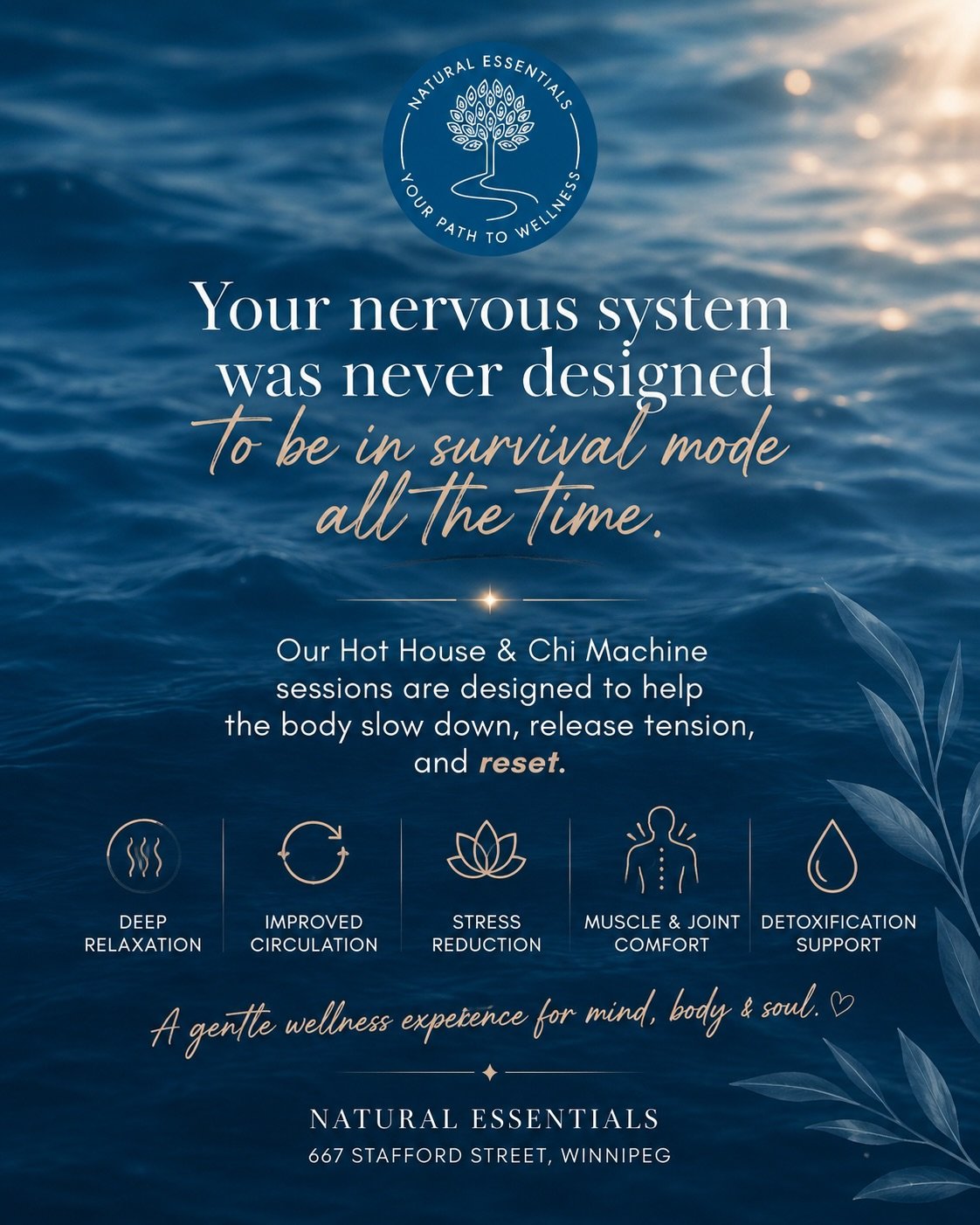 Your nervous system was never designed to be in survival mode all the time. 🤍

Our Hot House &amp; Chi Machine sessions are designed to help the body slow down, release tension, and reset.

This gentle wellness experience may support:
✨ Relaxation
✨
