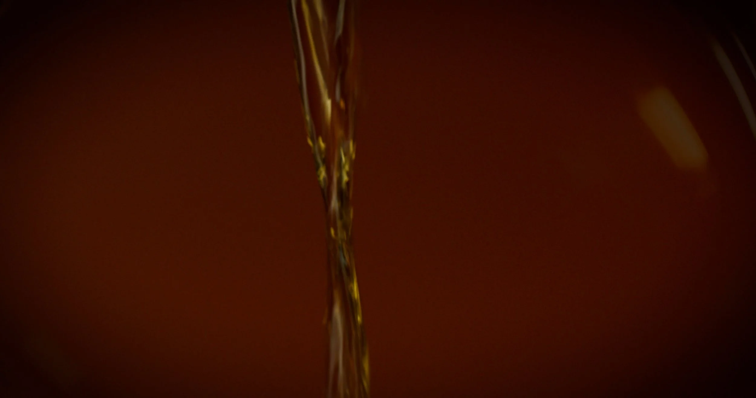 Ossabaw Island05.jpg