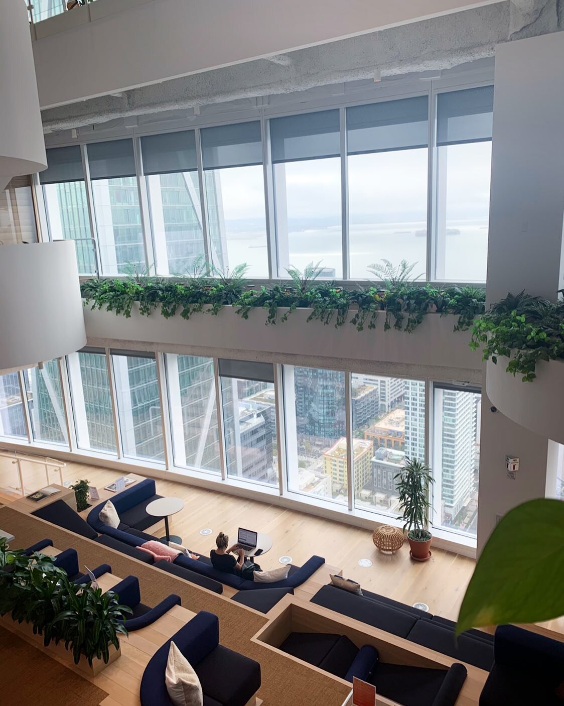 Continuing education (always) - @hananezakia snapped this shot while I snuck in a few modules at @kat_m_rust s beautiful workplace #foreverastudent