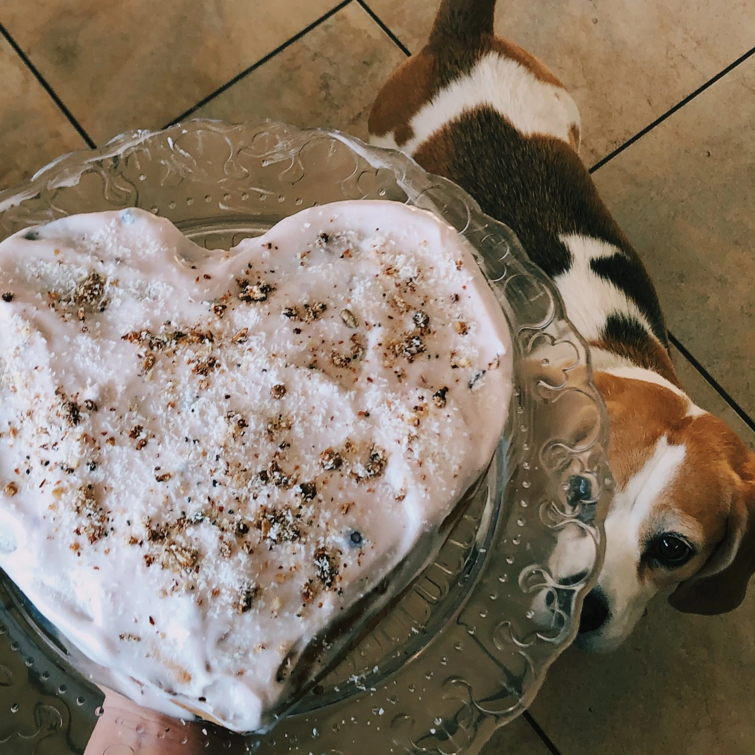 Karottenkuchen (glutenfrei)