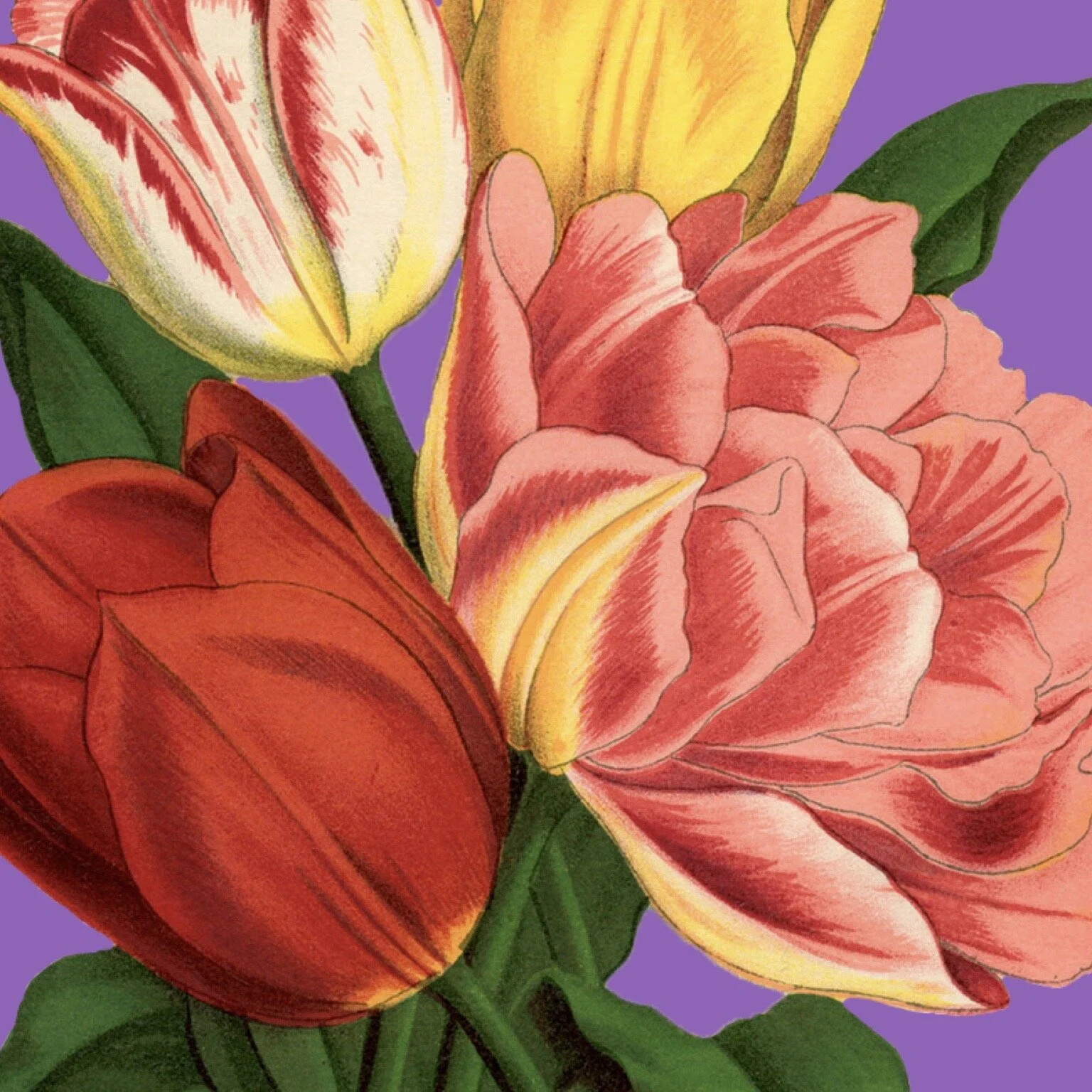 Was sagt Gott über mich?