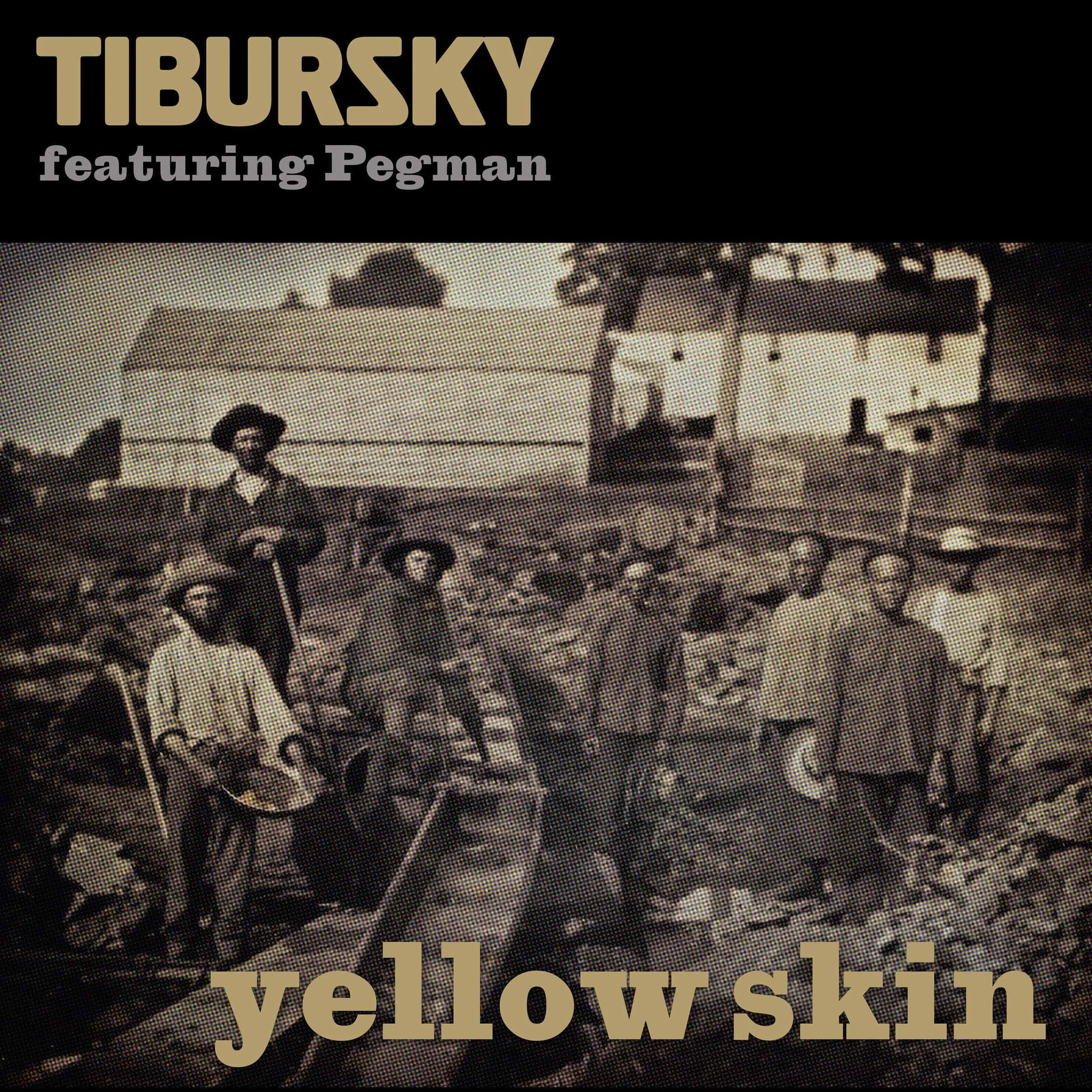 Tibursky yellowskin cover2-webres.jpg