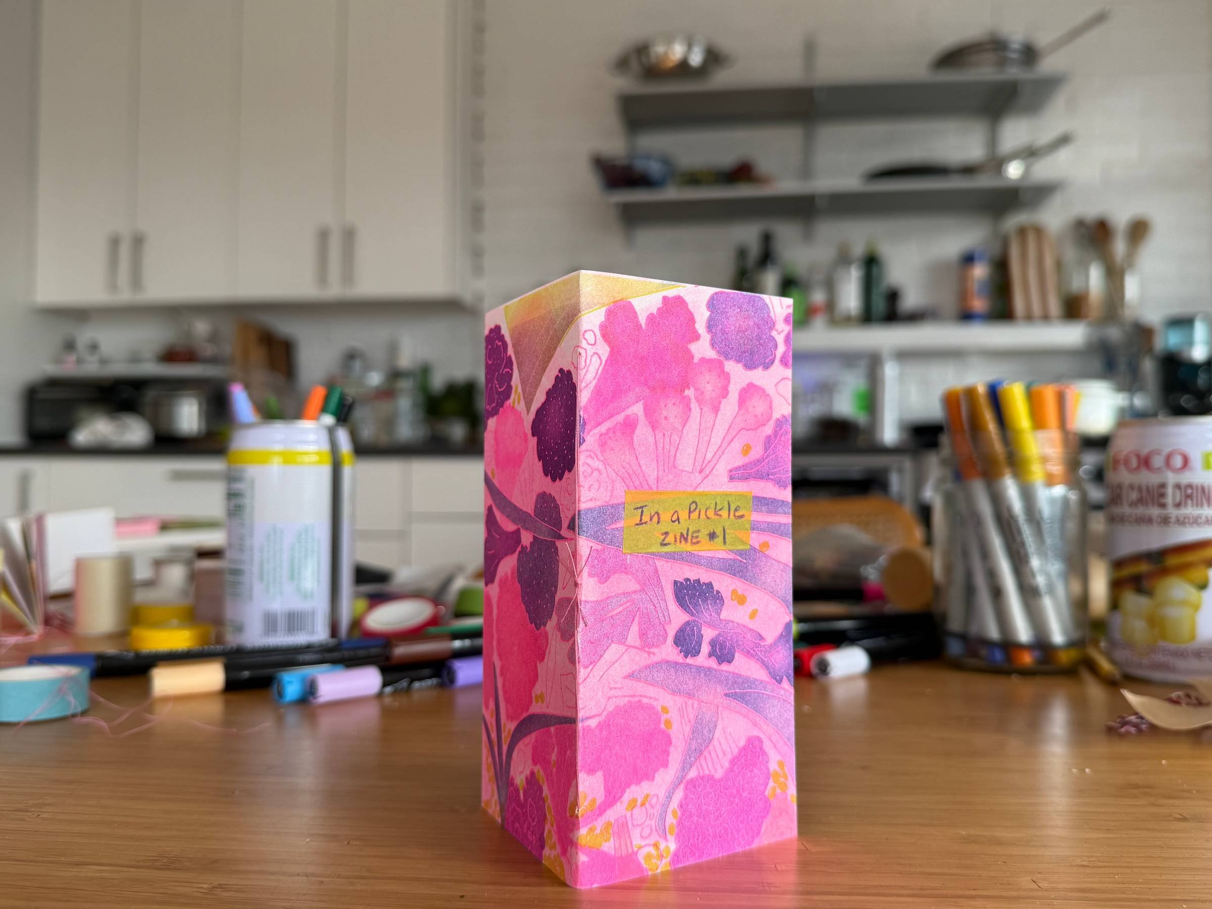 Preorder In a Pickle Zine #1