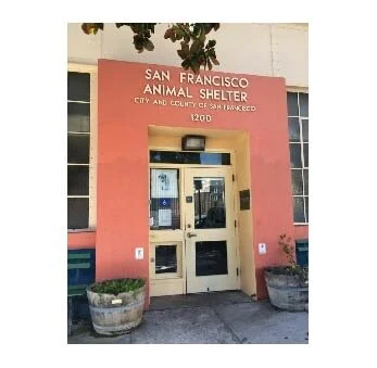 CMR Staff Collect 200+ Donations to SF Animal Care &amp; Control