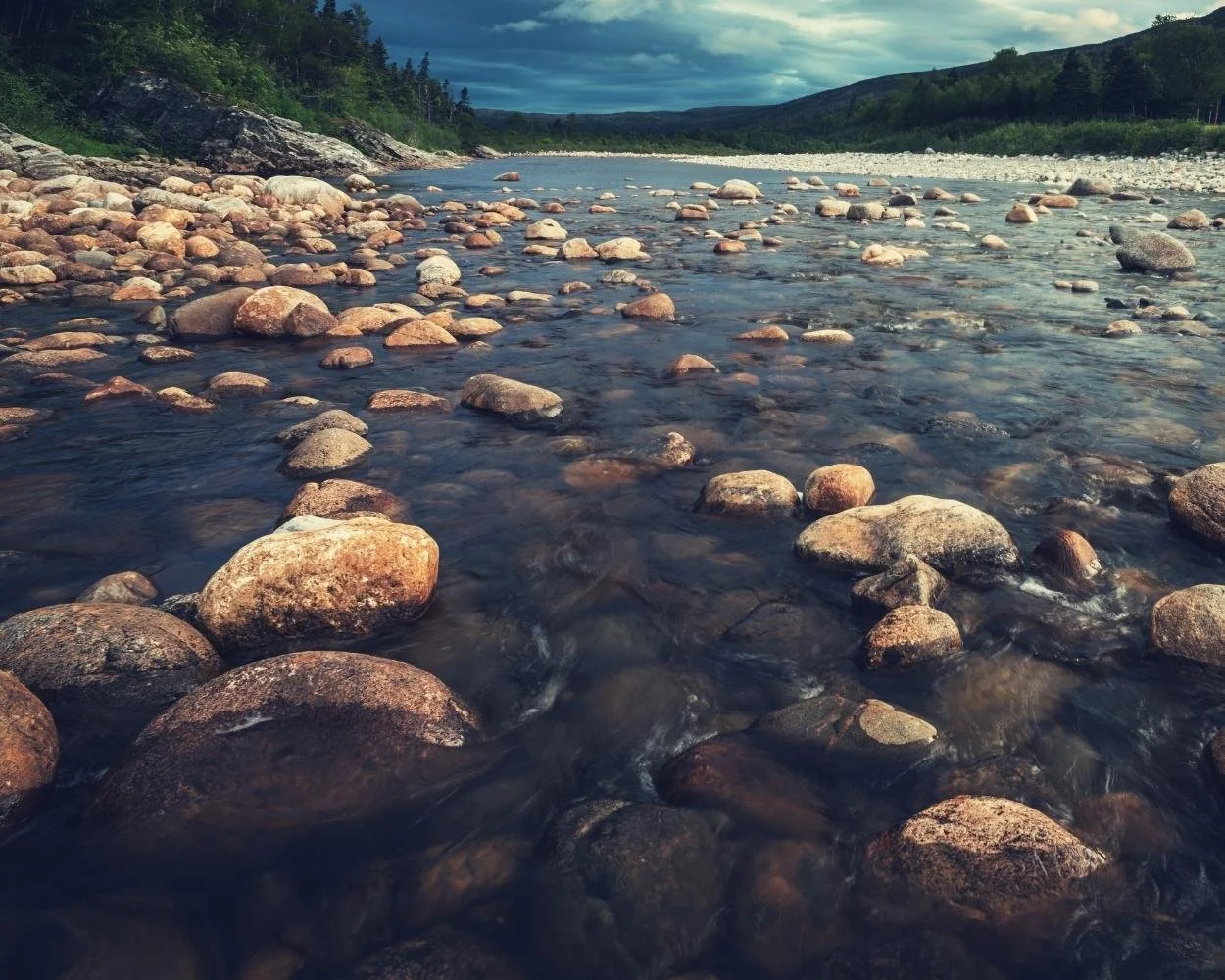 Canadian Art Therapy Association