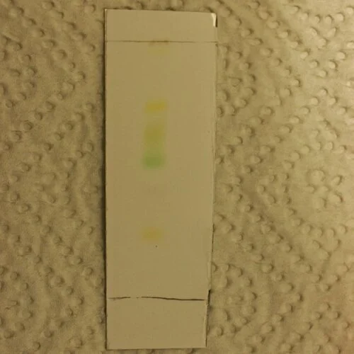 Chromatographie von Blattfarbstoffen