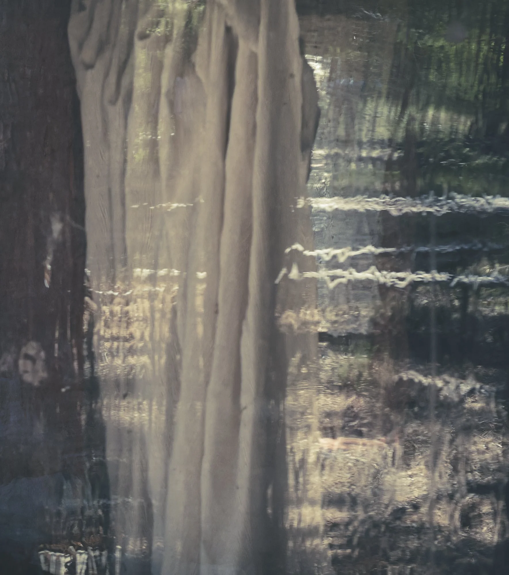 Yosemite-9.jpg